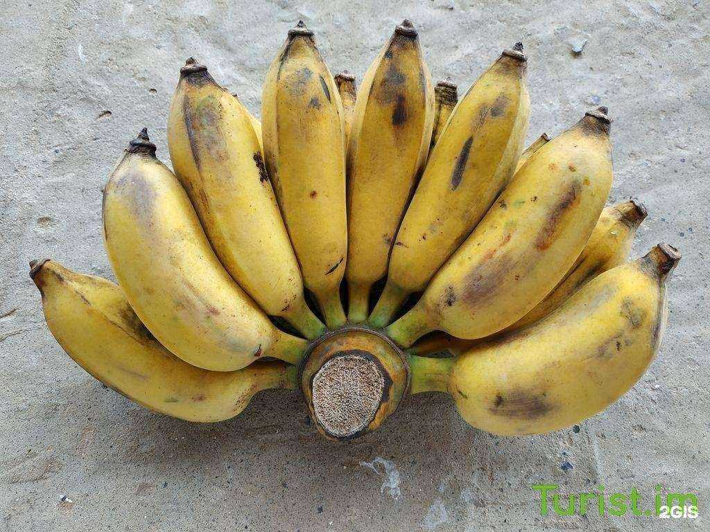 Отзывы на компанию Барс в Пятигорске c фото