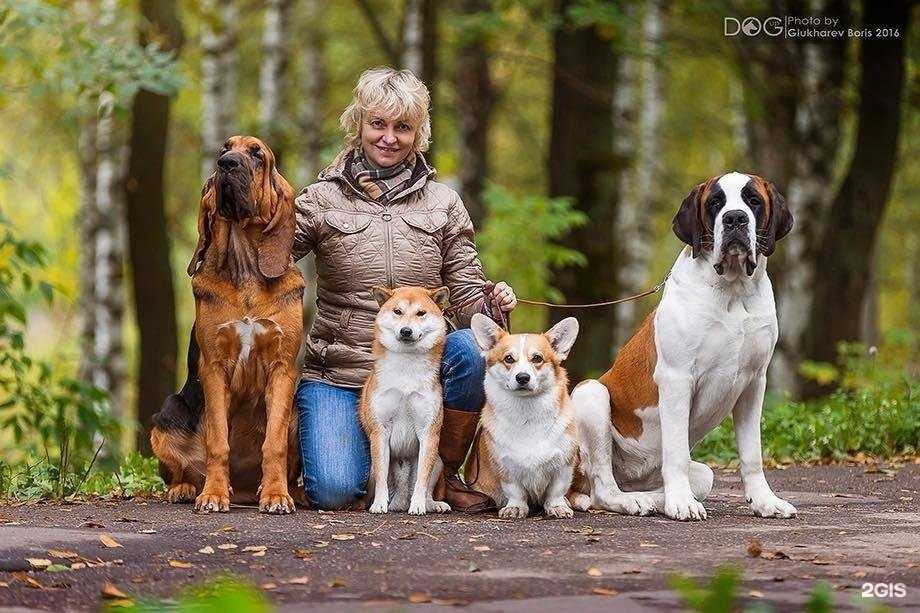 Отзывы на компанию Звезда Запада Калининград в Калининграде c фото