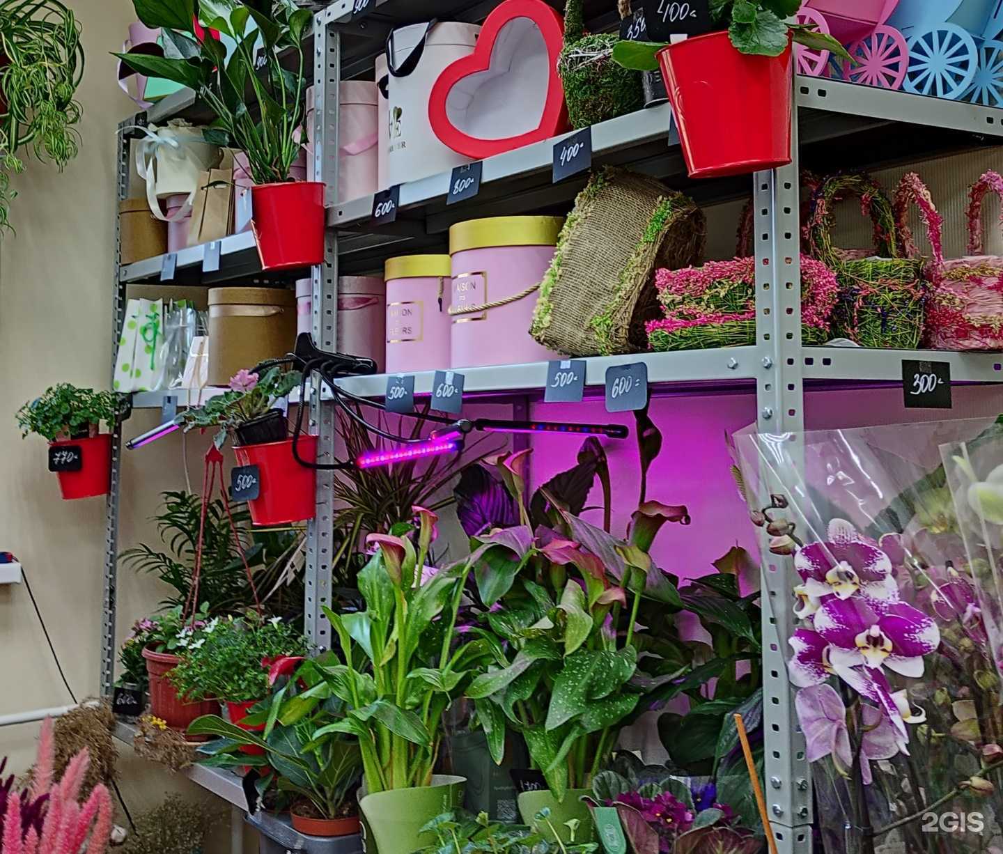 Отзывы на компанию Цветы для вас в Серпухове c фото