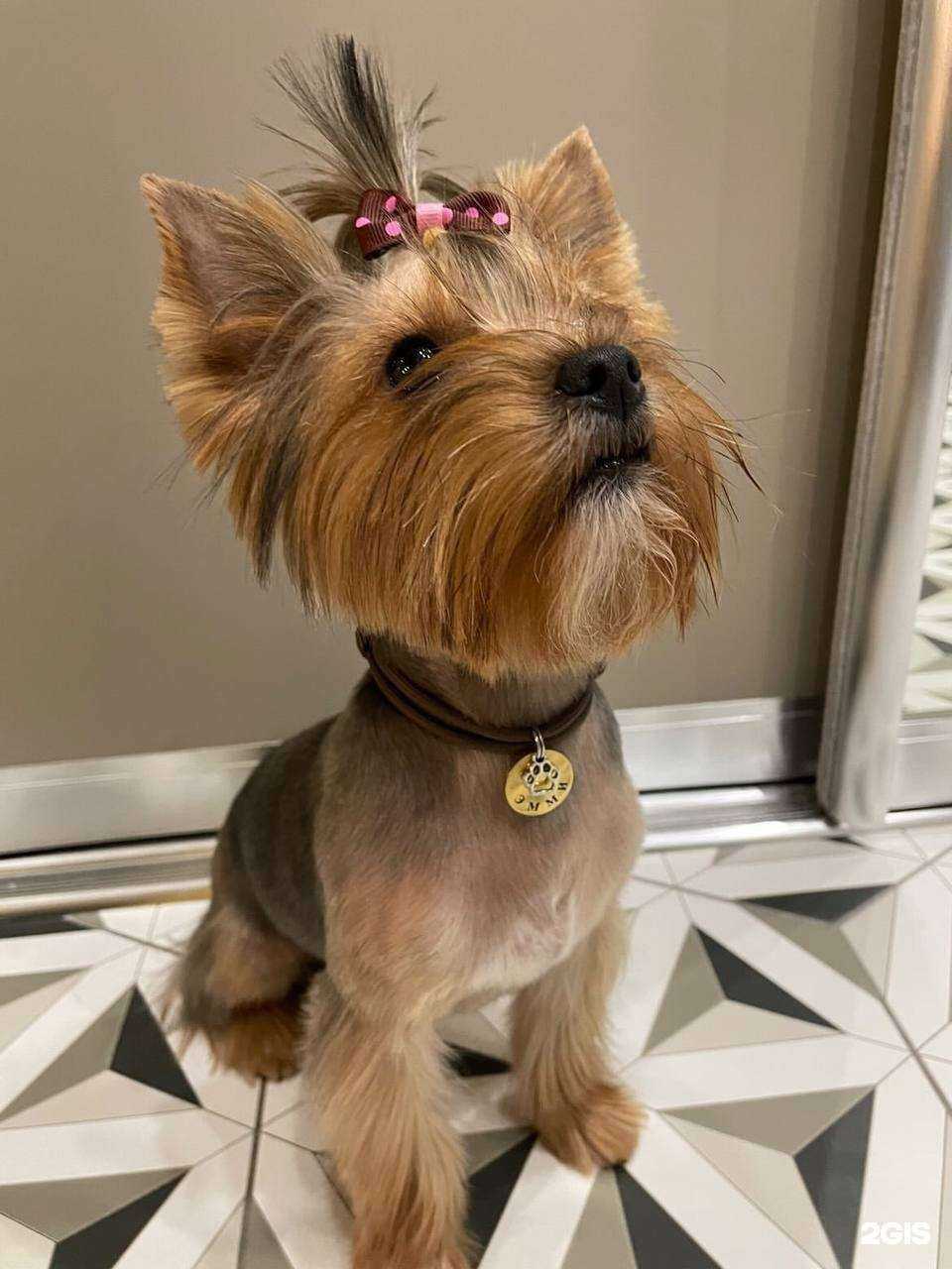 Отзывы на компанию Groom в г. Вологда c фото