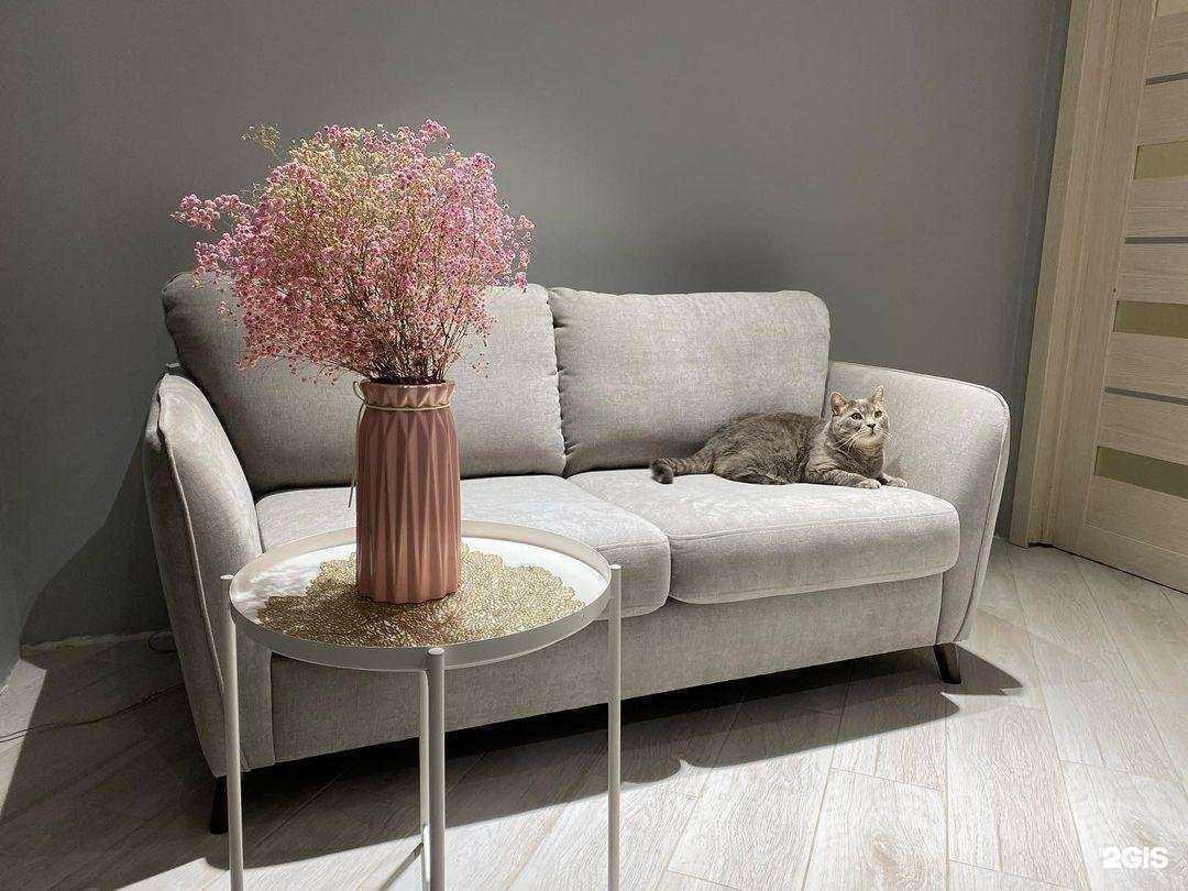 Отзывы на компанию Эко мебель в г. Брянск c фото