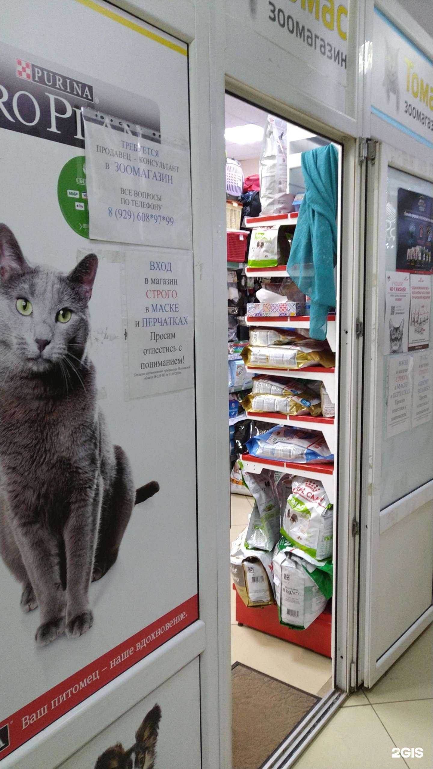 Отзывы на компанию Чистый кот в Балашихе c фото