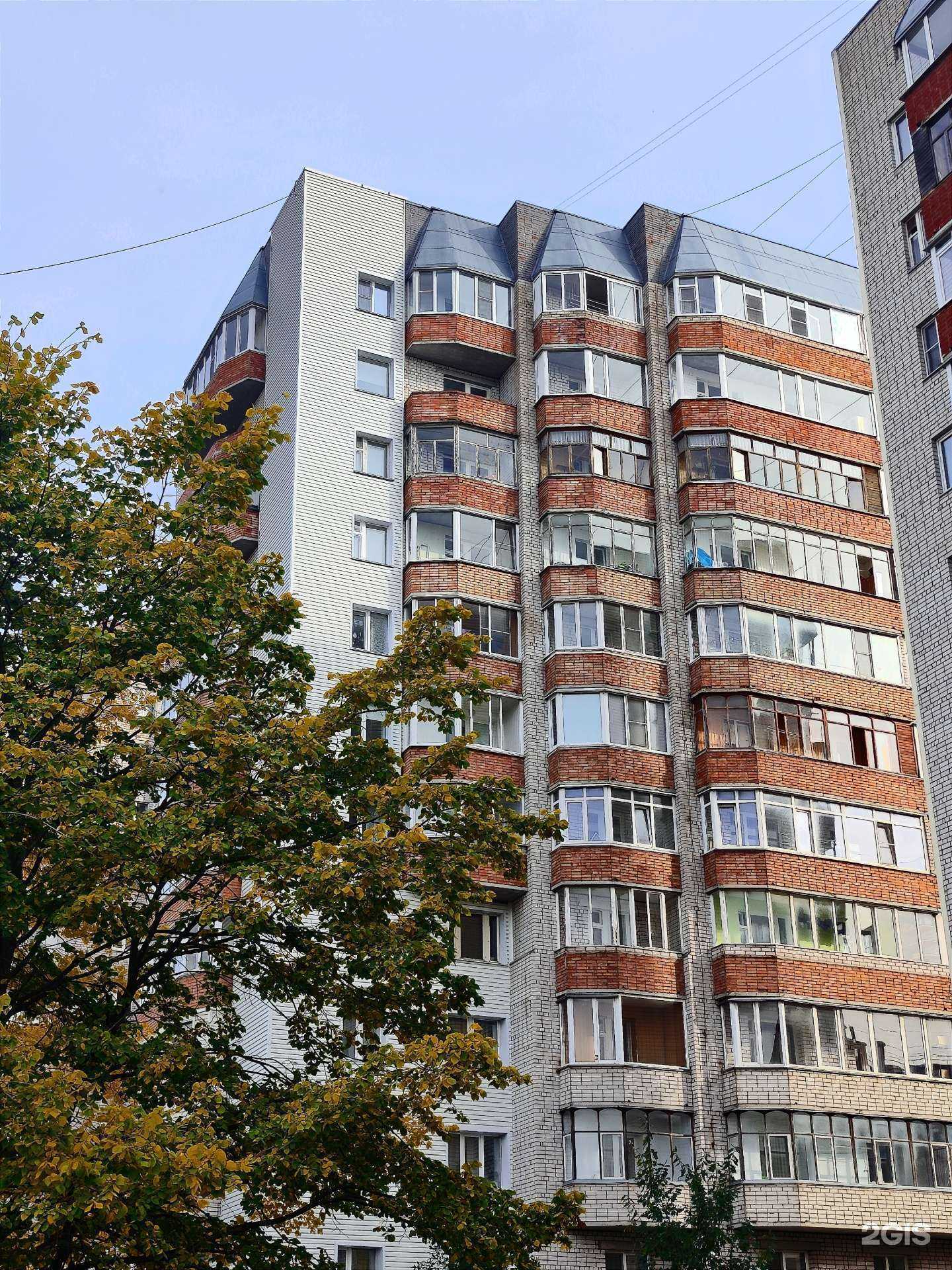 Отзывы на компанию Матисс в Вологде c фото - фотография 2 из 2