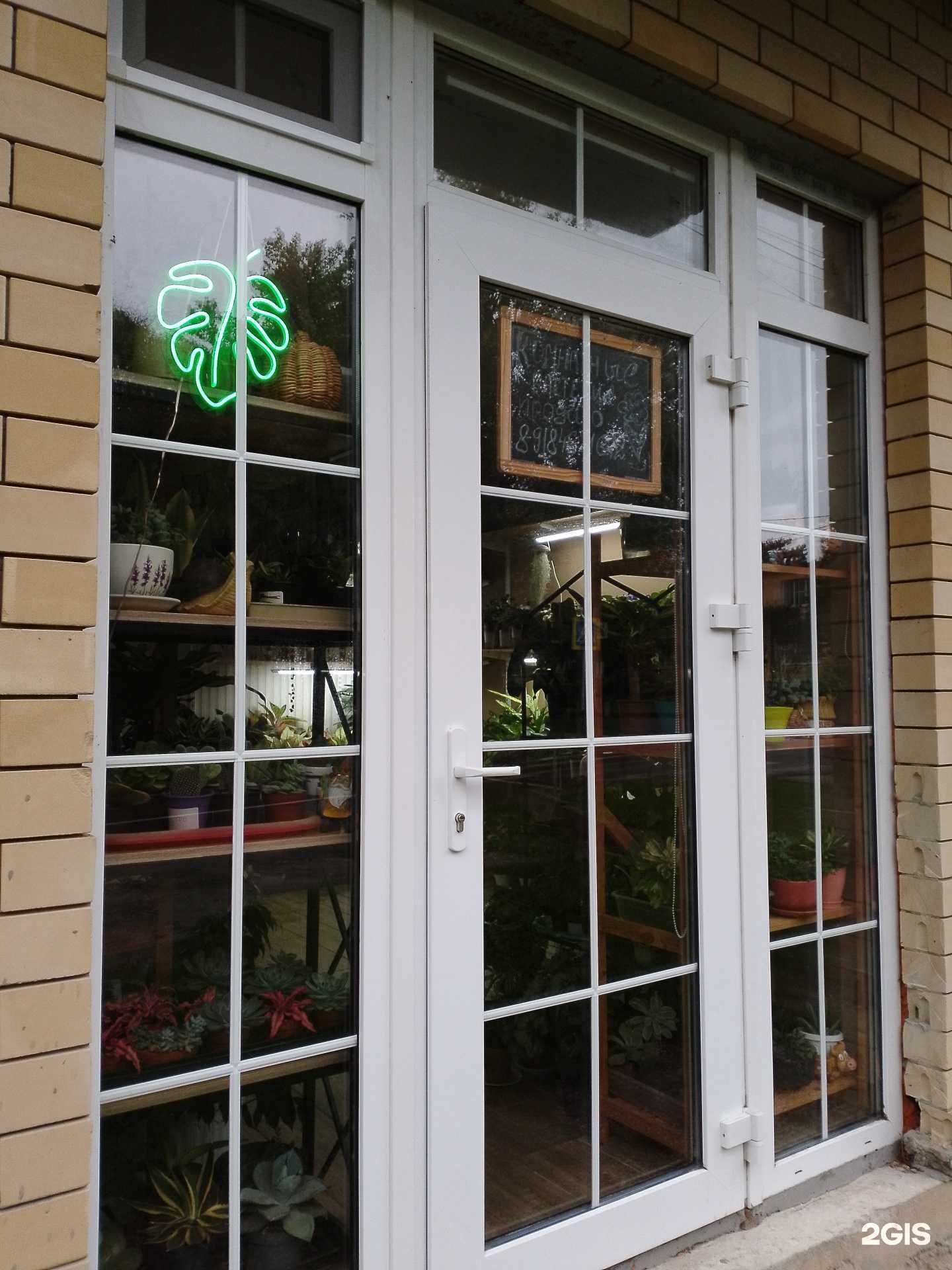 Отзывы на компанию Магазин комнатных растений в Анапе c фото