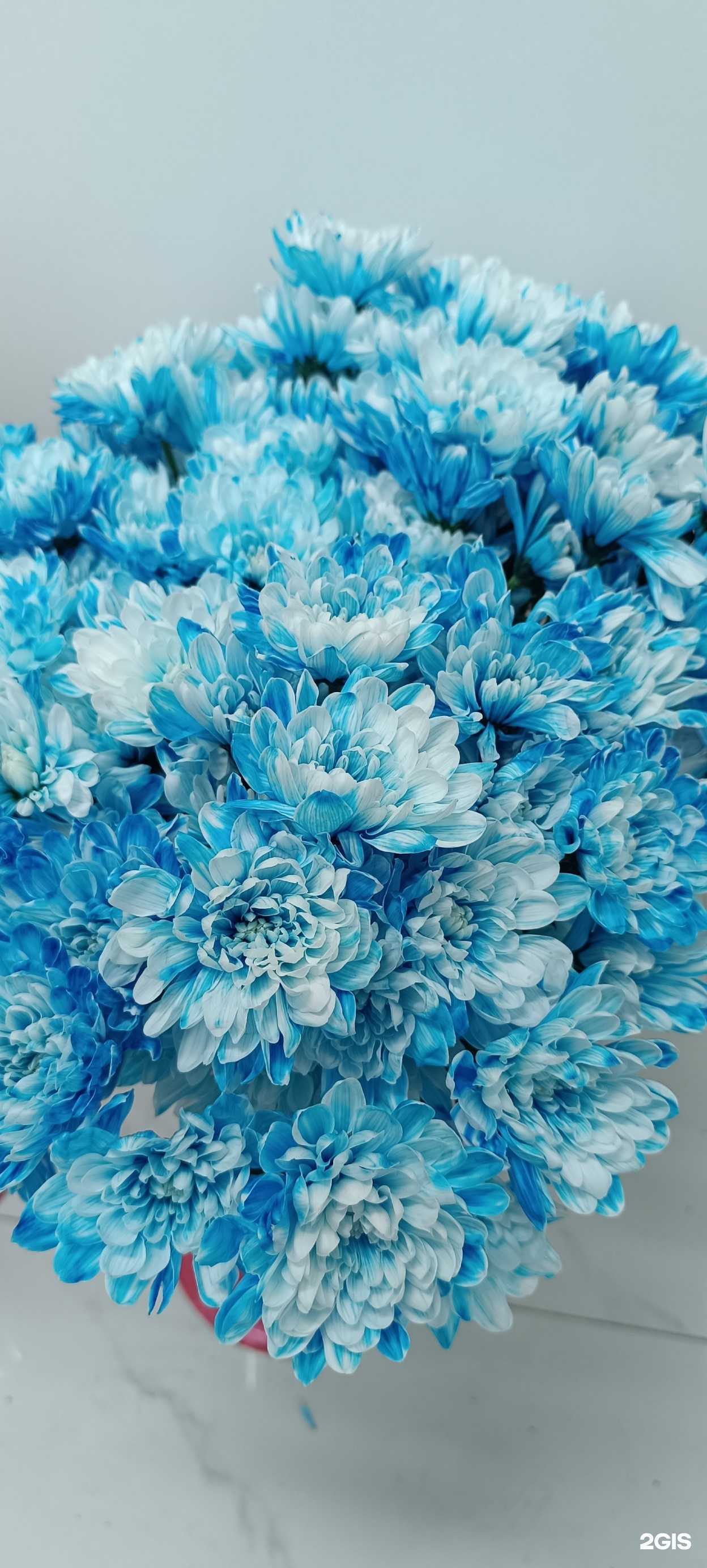 Отзывы на компанию Pion в Каспийске c фото