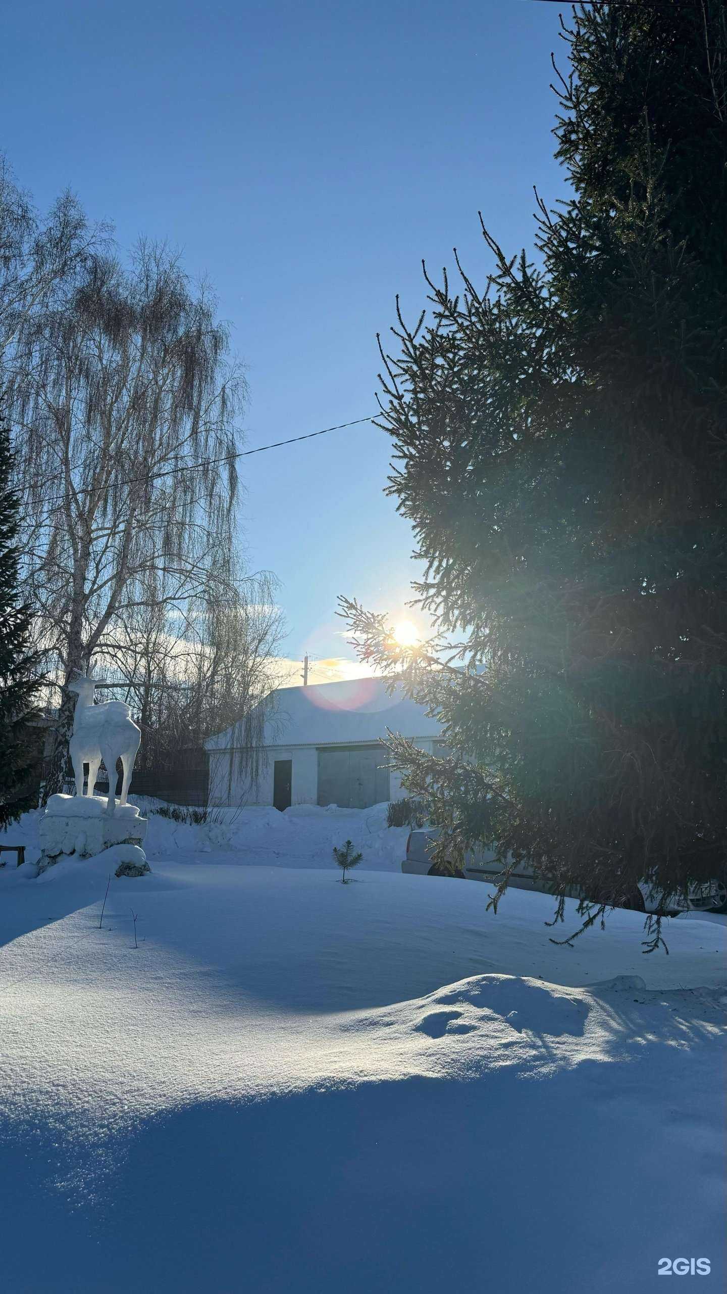 Отзывы на компанию Магнитогорская городская ветеринарная станция по борьбе с болезнями животных в г. Магнитогорск c фото