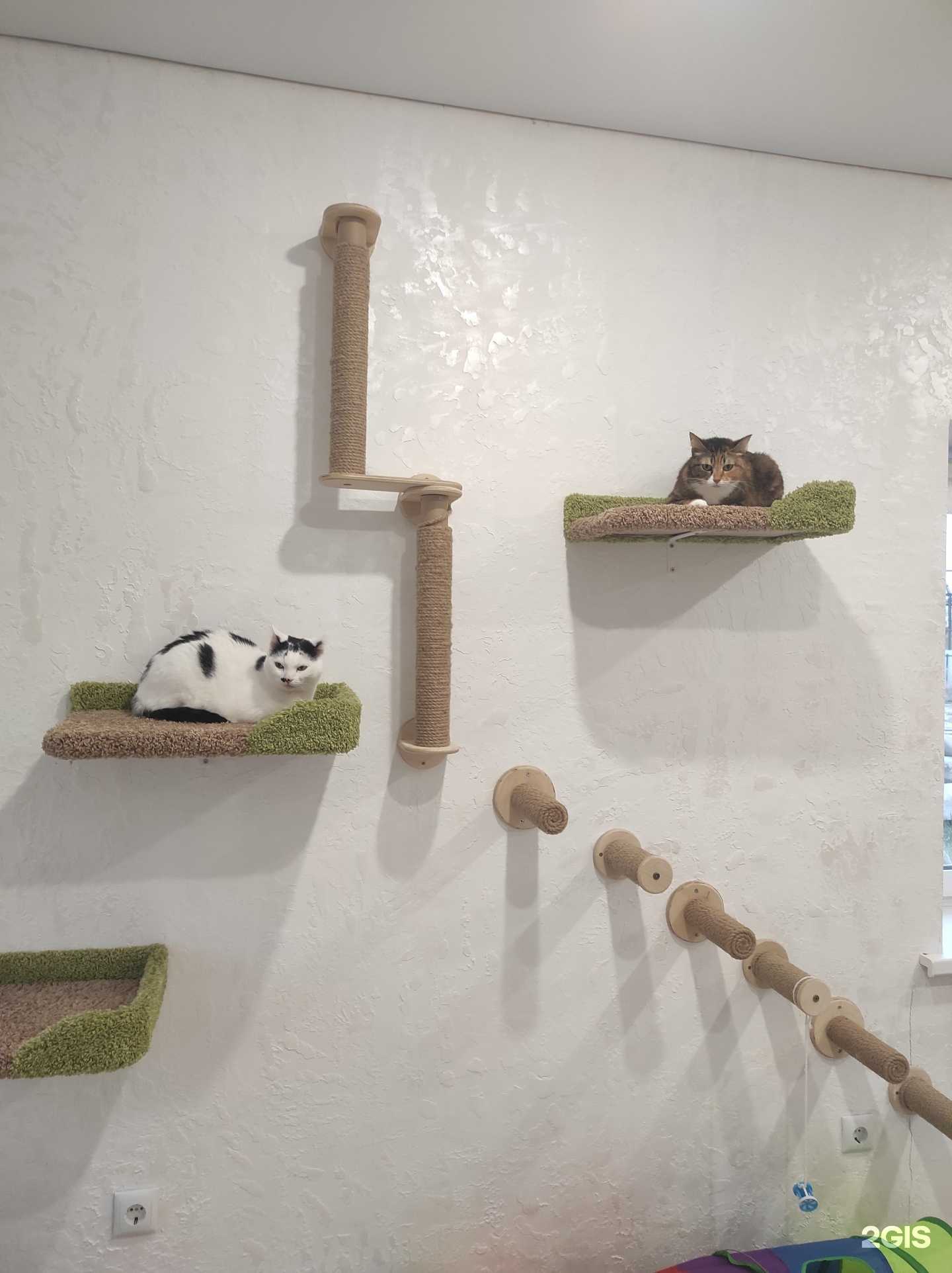 Отзывы на компанию Мурзилка в г. Тюмень c фото