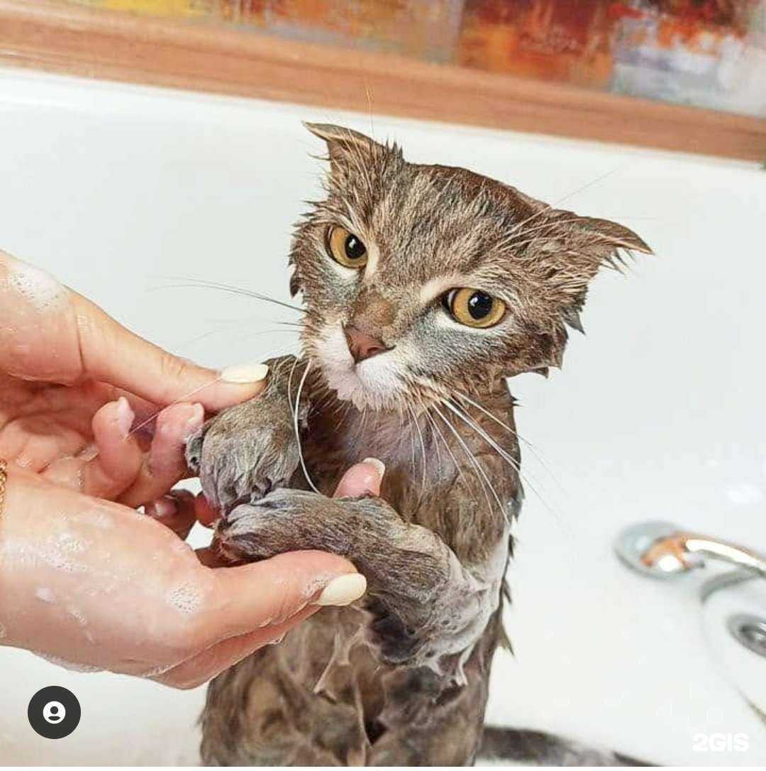 Отзывы на компанию Барбос в Челябинске c фото