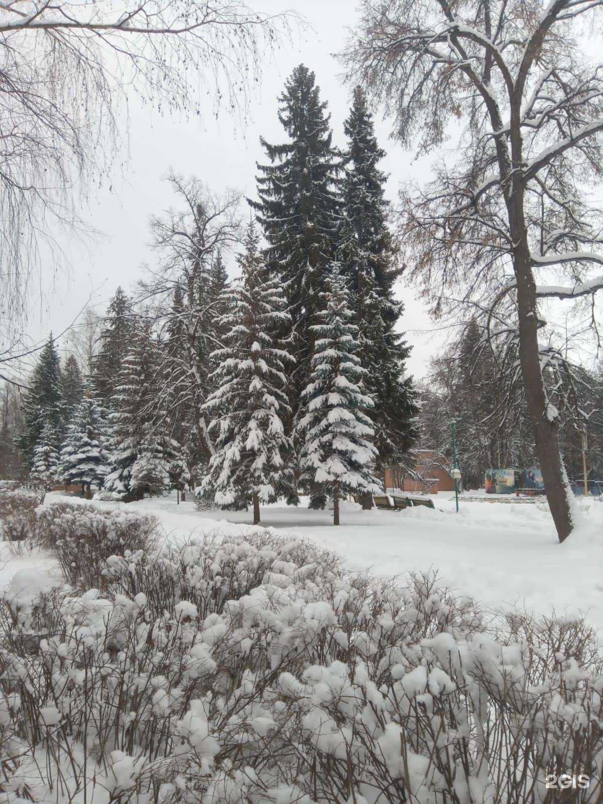 Отзывы на компанию Дзержинец в г. Ижевск c фото
