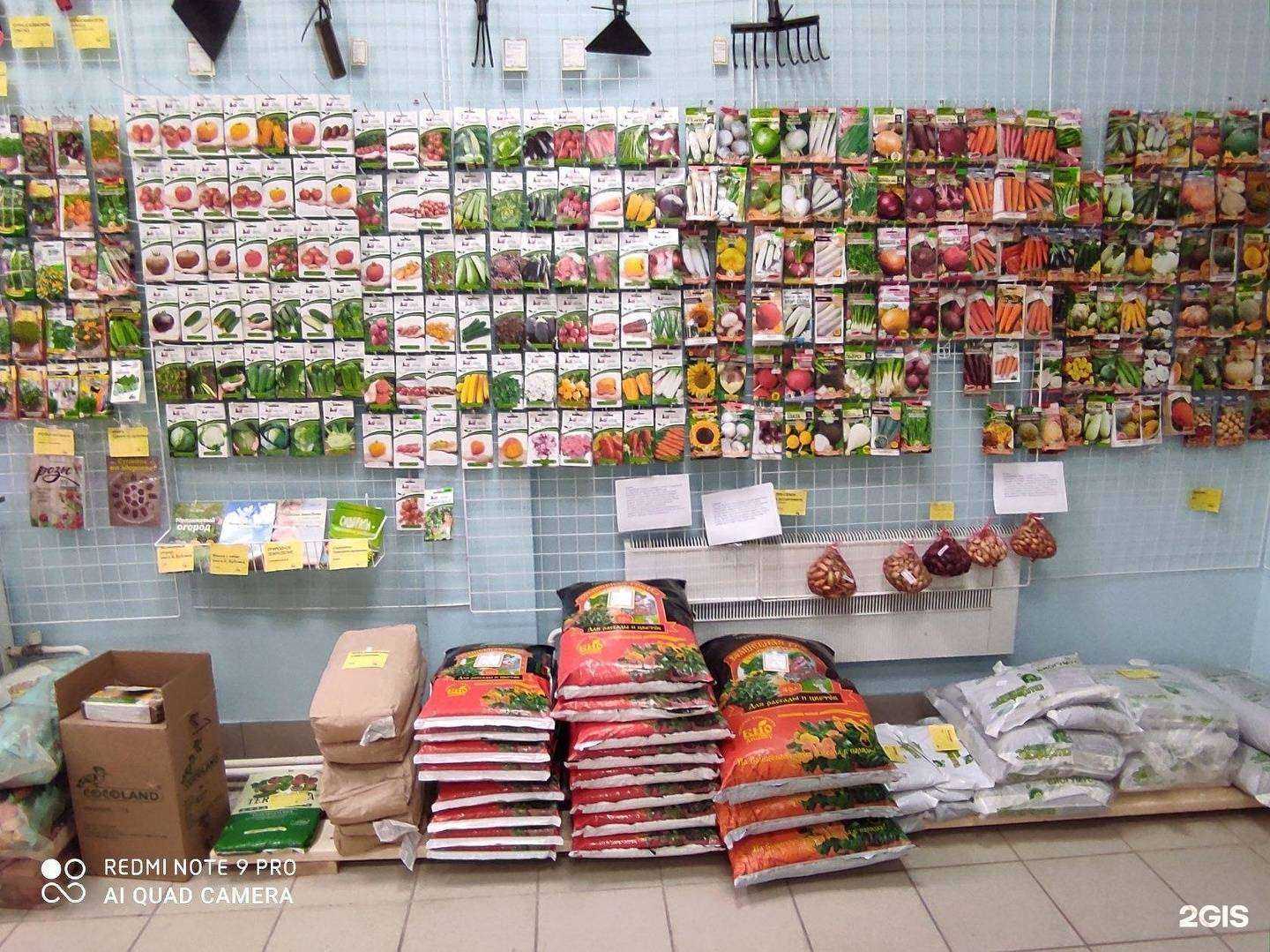 Отзывы на компанию Сияние в Пскове c фото