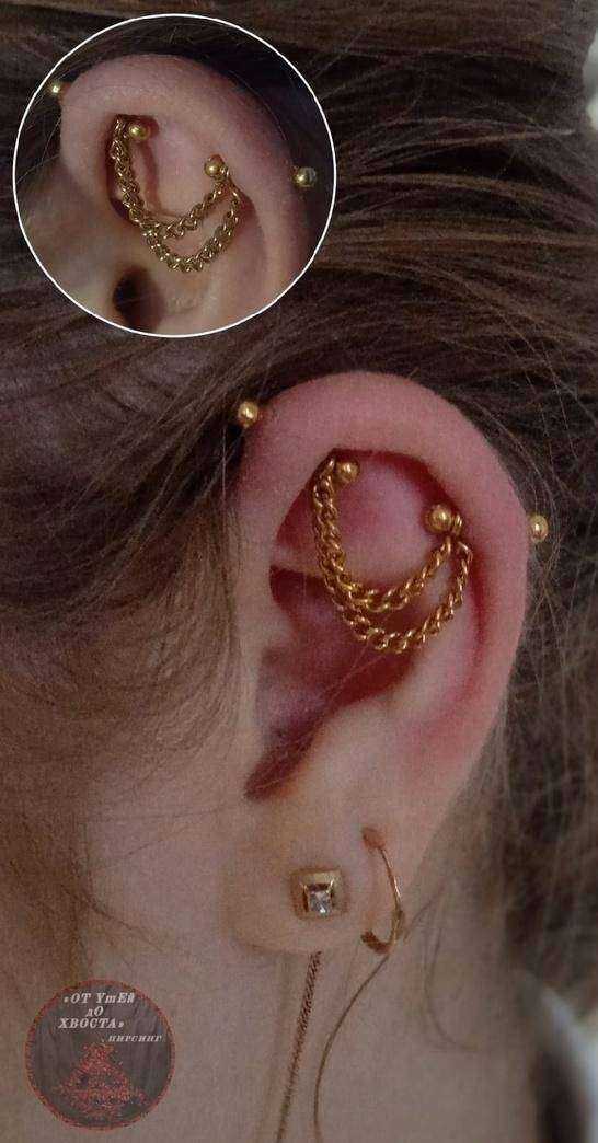 Отзывы на компанию От ушей до хвоста в г. Балаково c фото