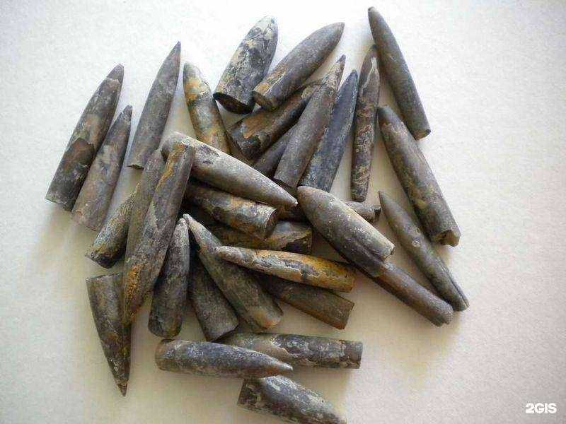 Отзывы на компанию Здоровье Алтая в Ростове-на-Дону c фото