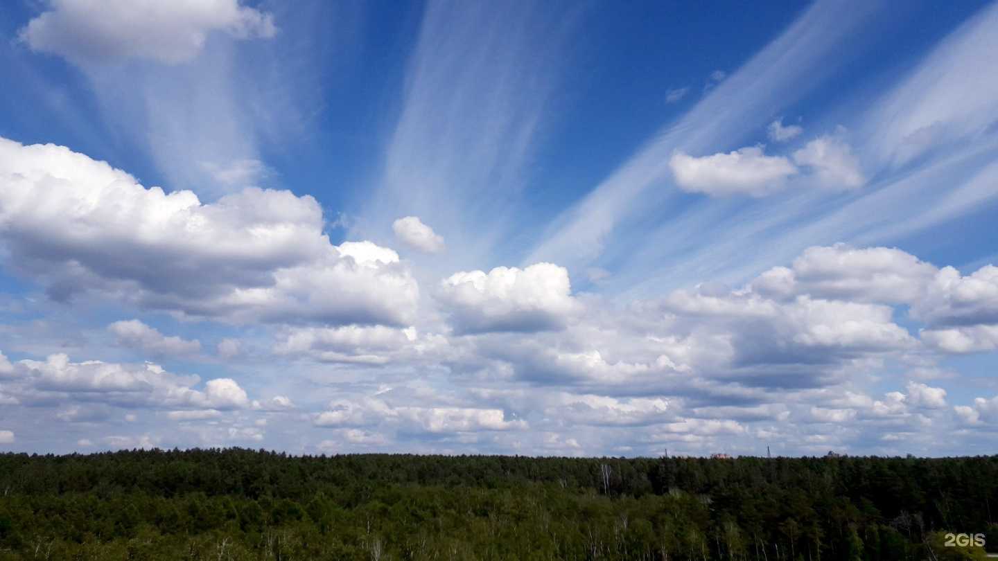 Отзывы на компанию Gitaraplay в Новосибирске c фото - фотография 2 из 2