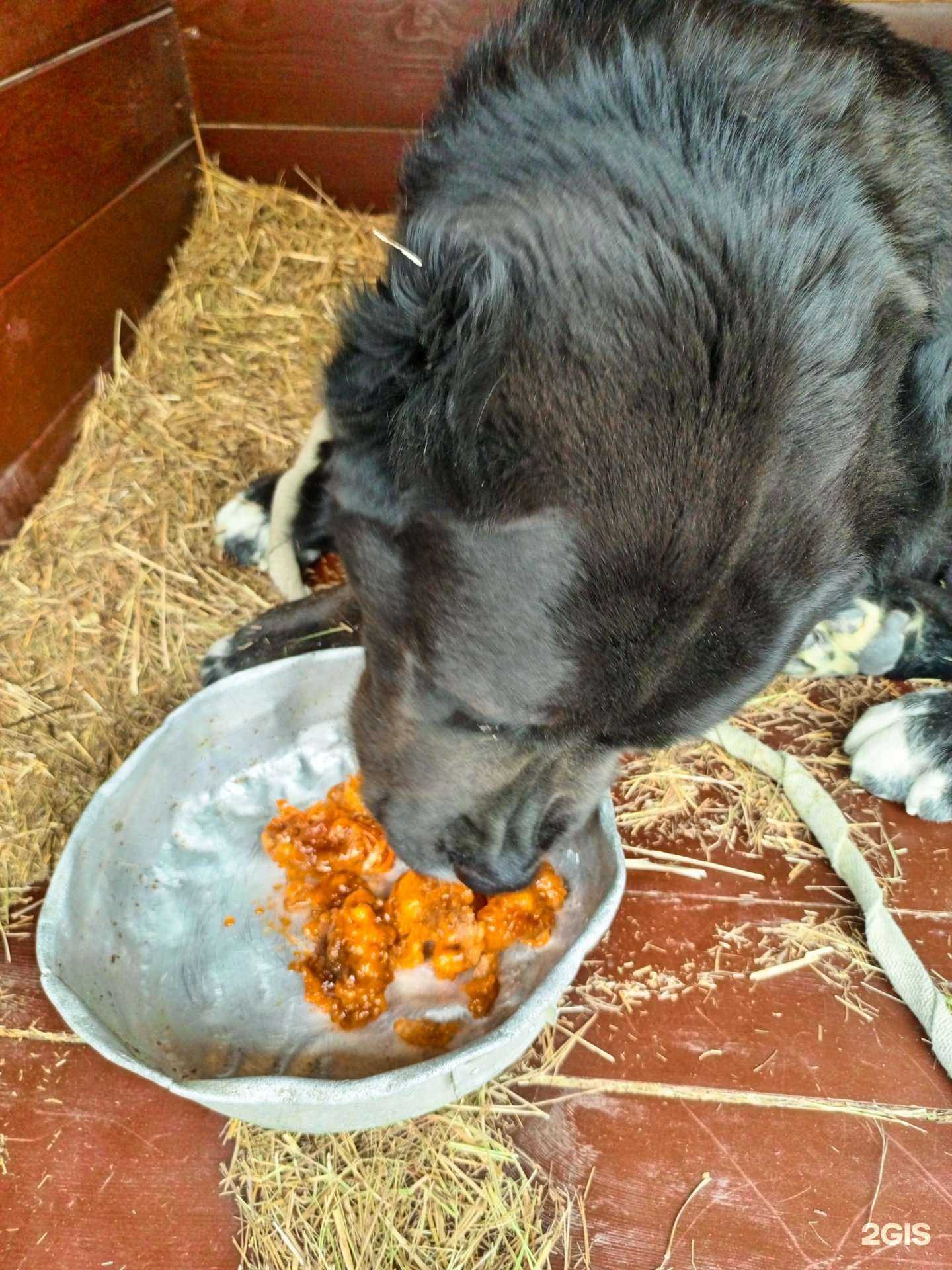 Отзывы на компанию Статус в Уссурийске c фото