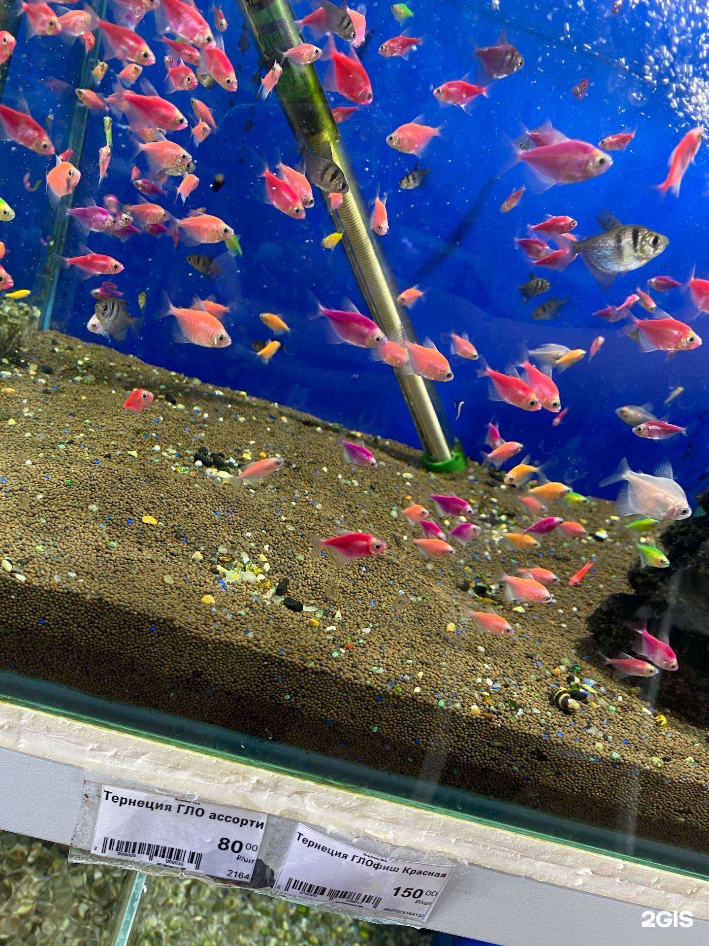 Отзывы на компанию Экзотика Юга в Краснодаре c фото