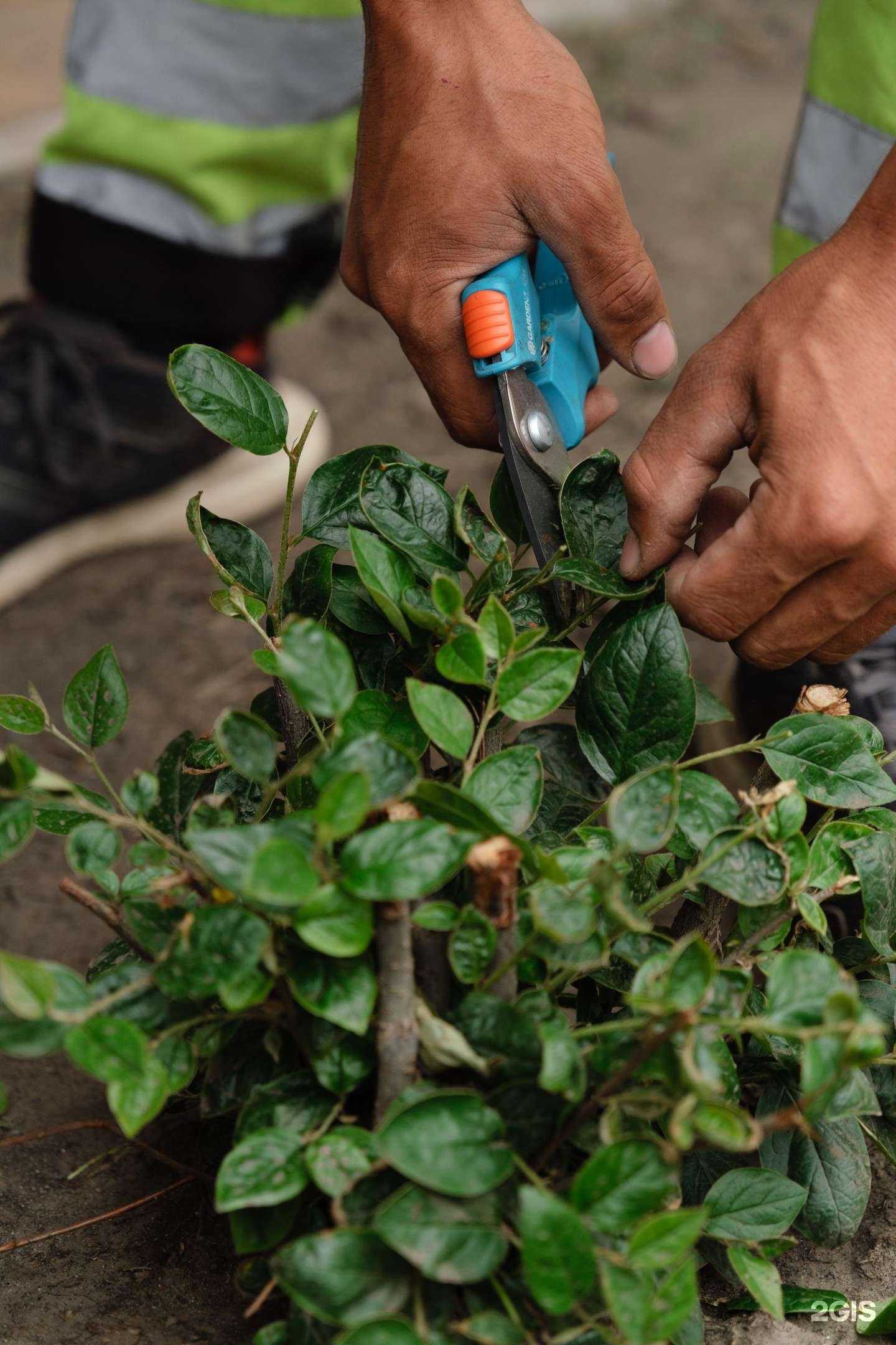 Отзывы на компанию МСД в г. Новосибирск c фото