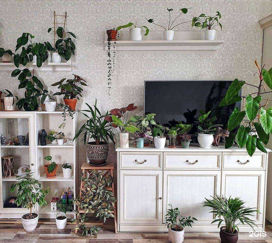 Отзывы на компанию Шатура в г. Рязань c фото