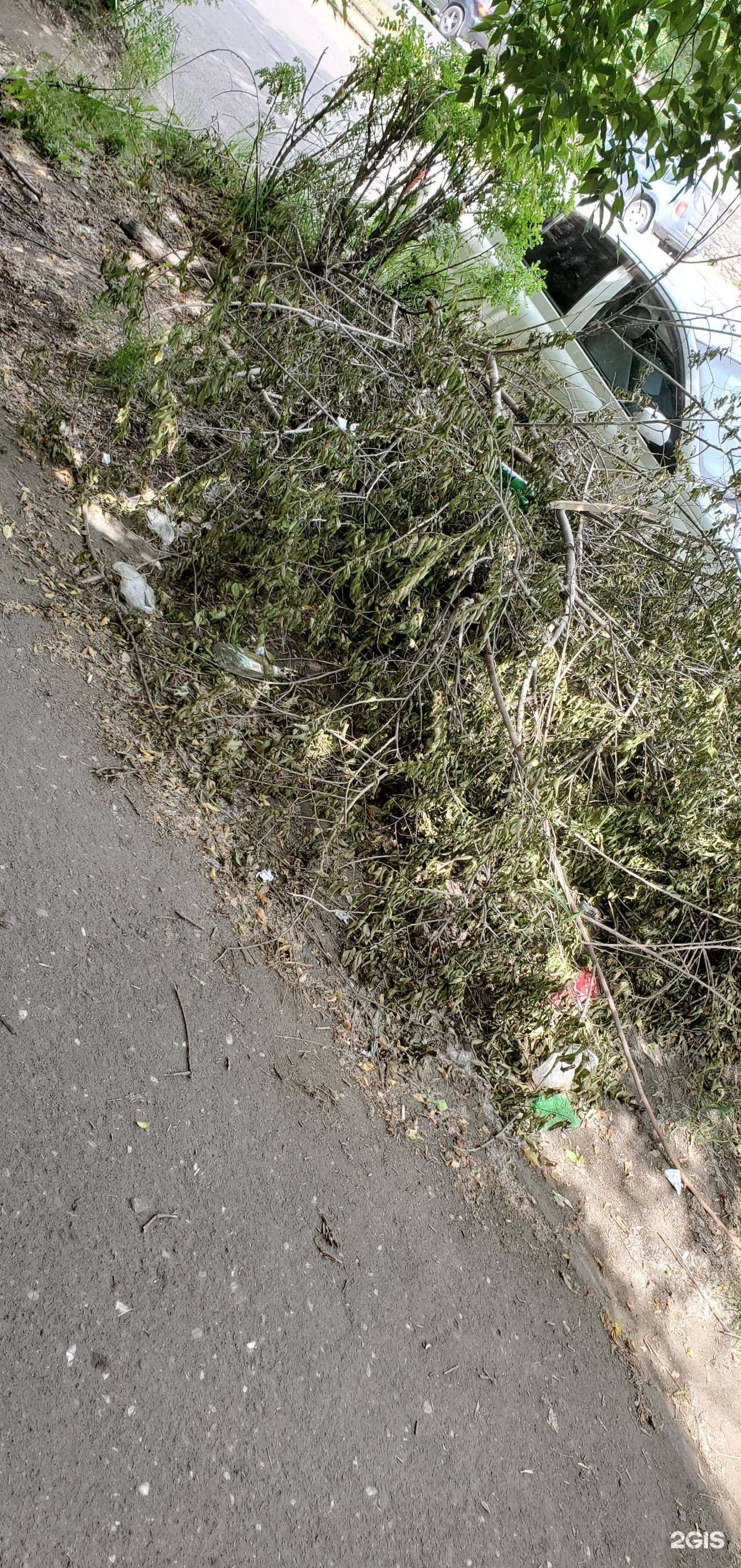 Отзывы на компанию Фармэконом в Ангарске c фото - фотография 2 из 2