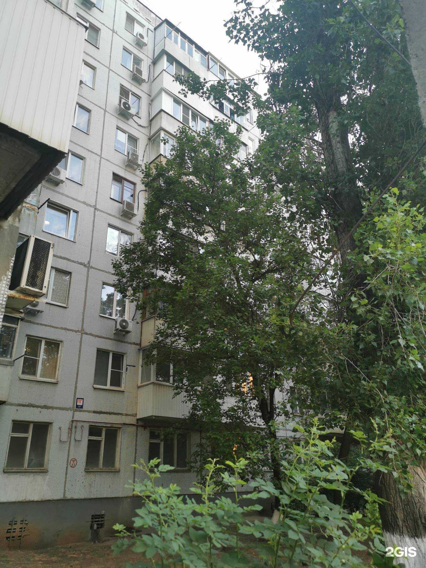 Отзывы на компанию Аптека в Ростове-на-Дону c фото - фотография 2 из 2