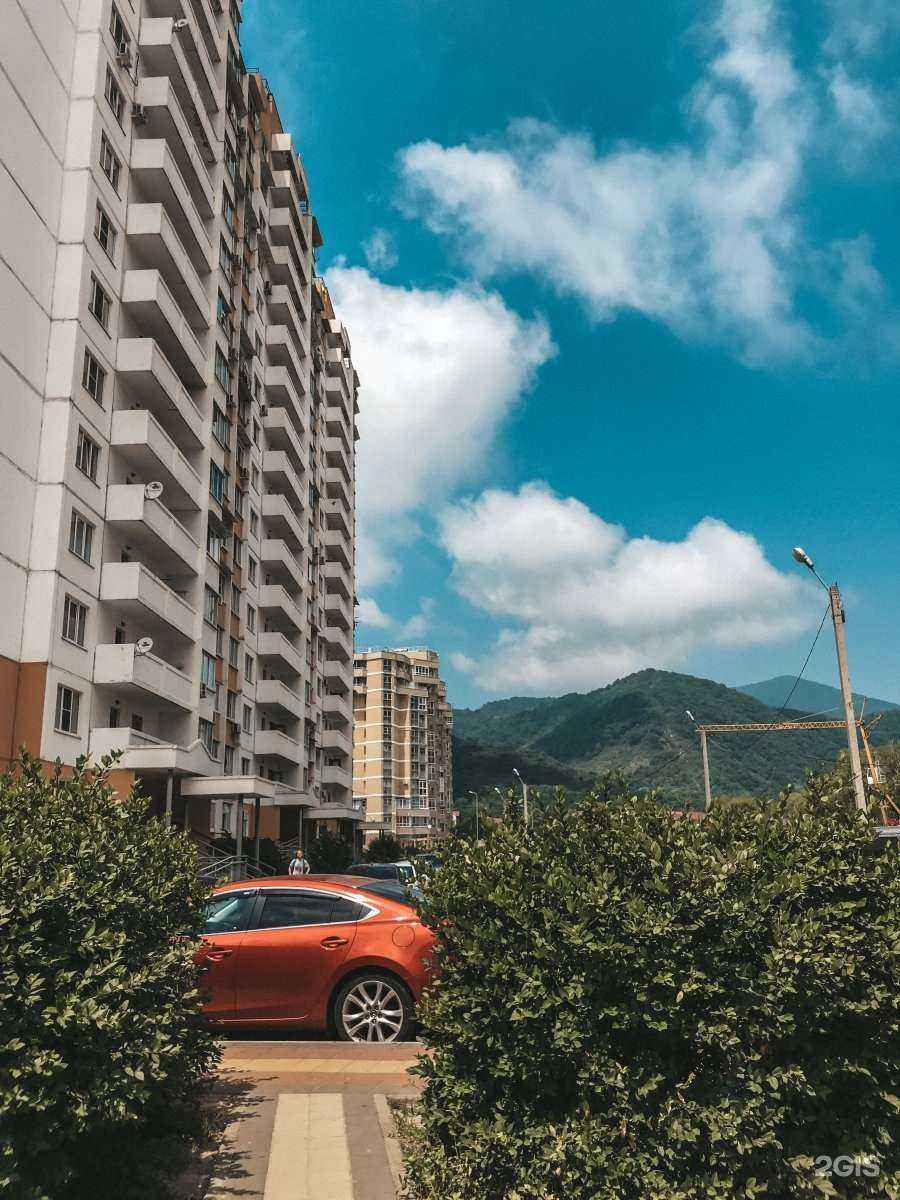 Отзывы на компанию Доктор Вет в Сочи c фото - фотография 2 из 2