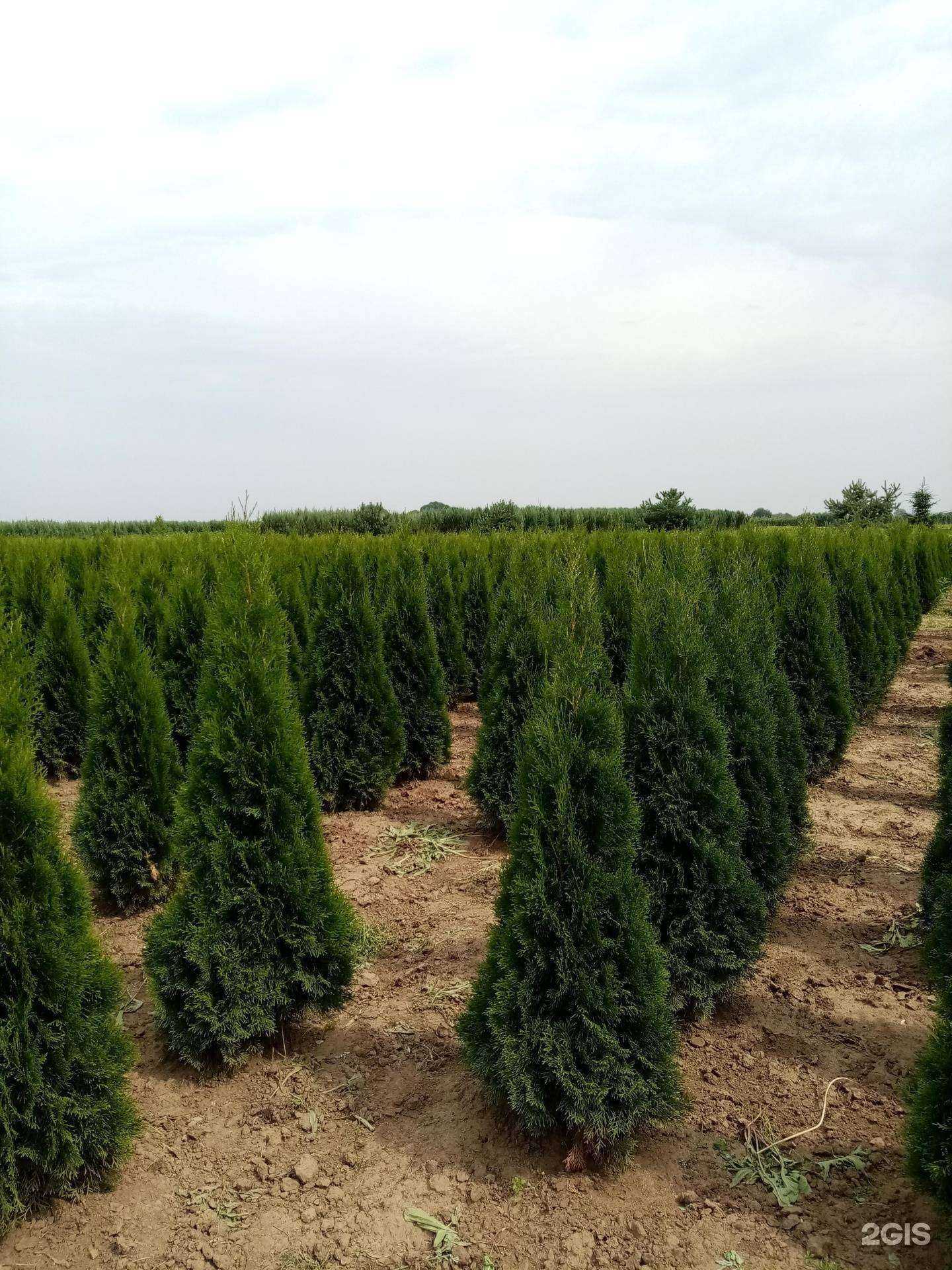 Отзывы на компанию ПаркВилл в Раменском c фото