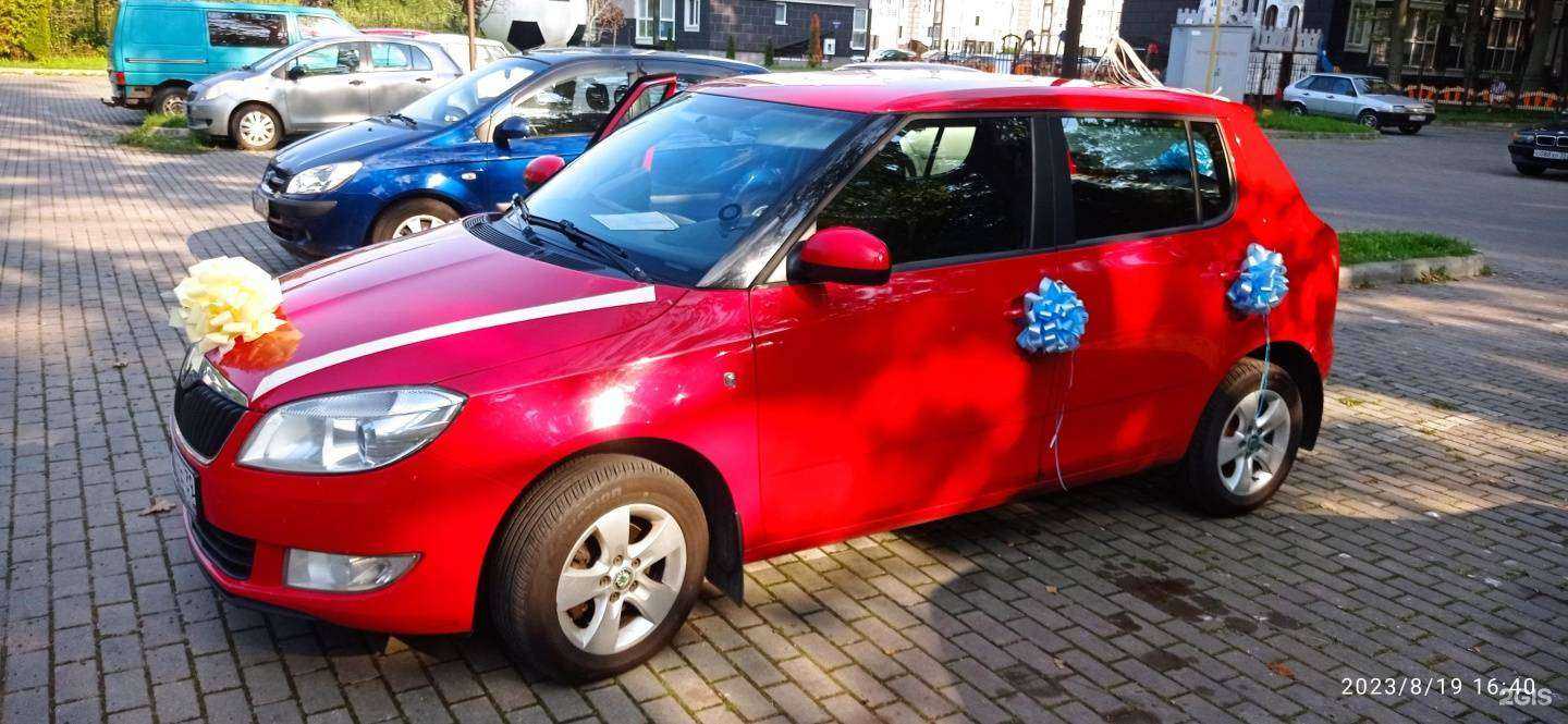 Отзывы на компанию Flo.rista в Калининграде c фото