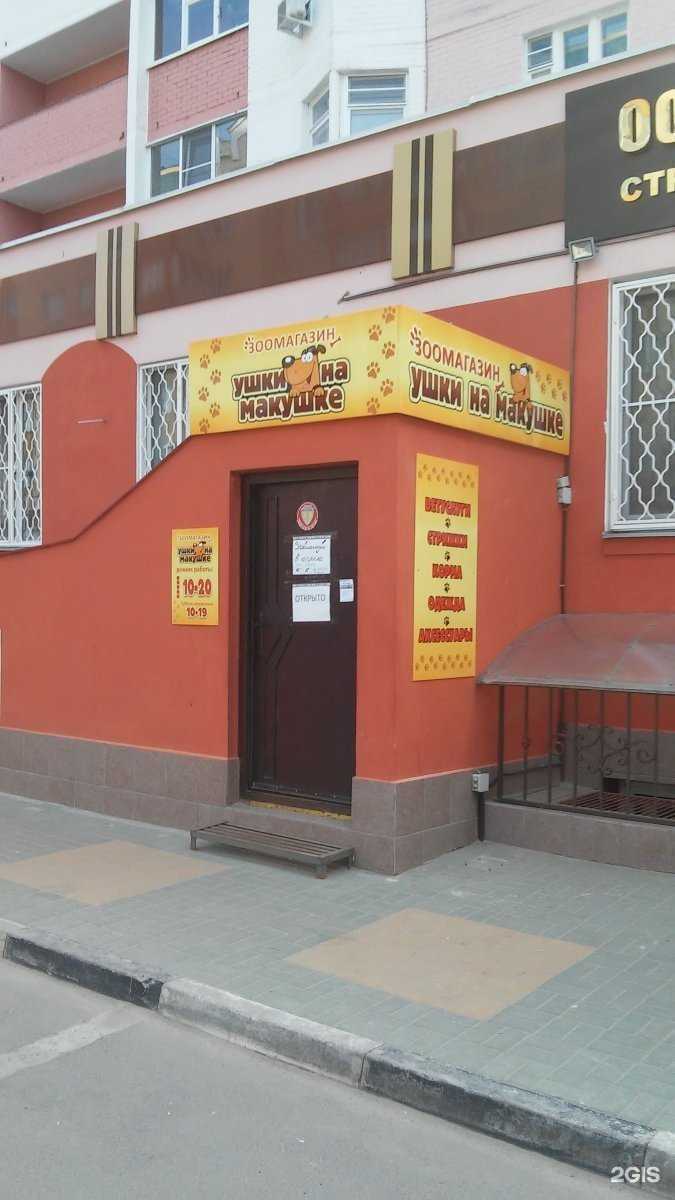 Отзывы на компанию Ушки на макушке в Орле c фото