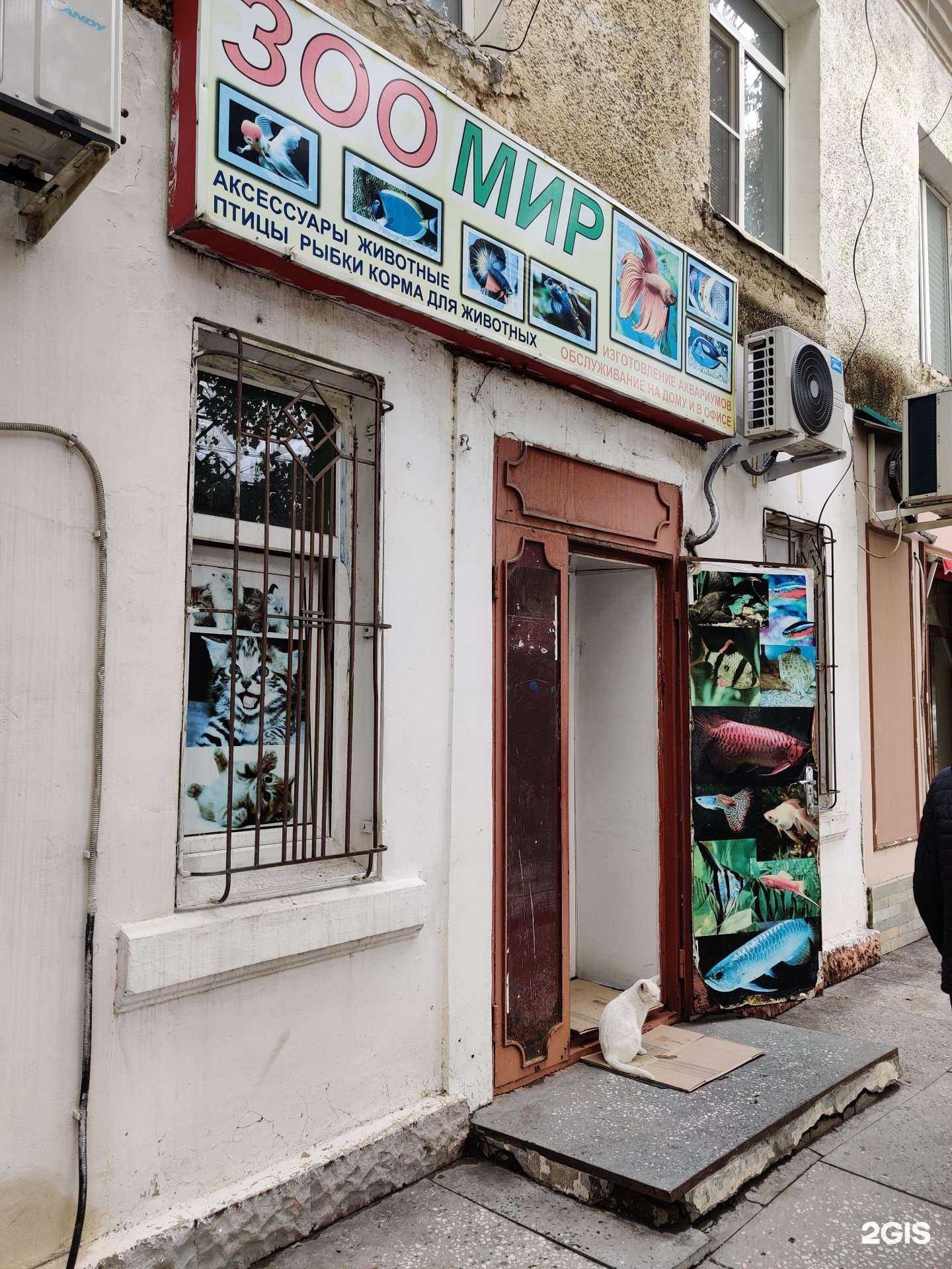 Отзывы на компанию ЗооМИР в Махачкале c фото