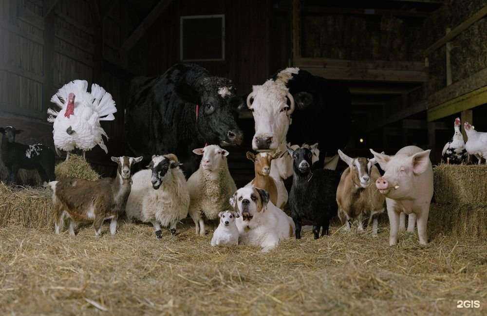Отзывы на компанию Региональный партнер в Воронеже c фото
