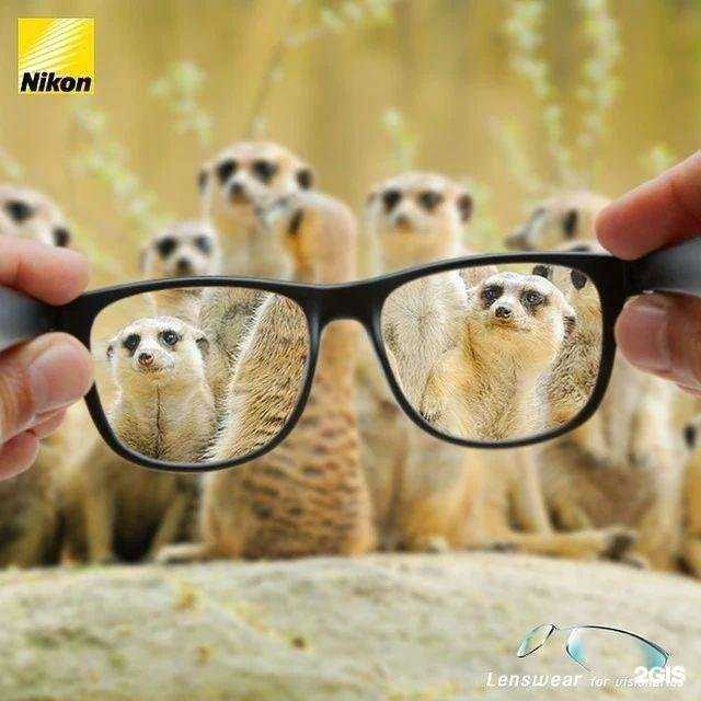 Отзывы на компанию Екатеринодар-2000 в г. Краснодар c фото