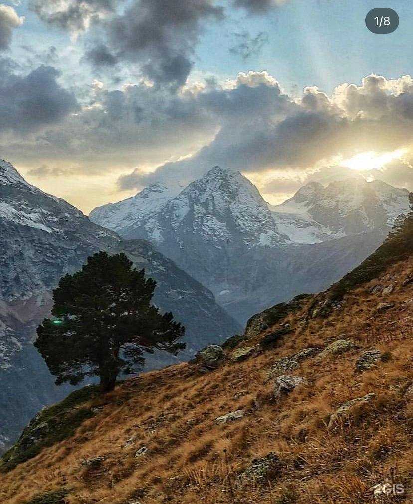 Отзывы на компанию Miss Kate в Одинцове c фото