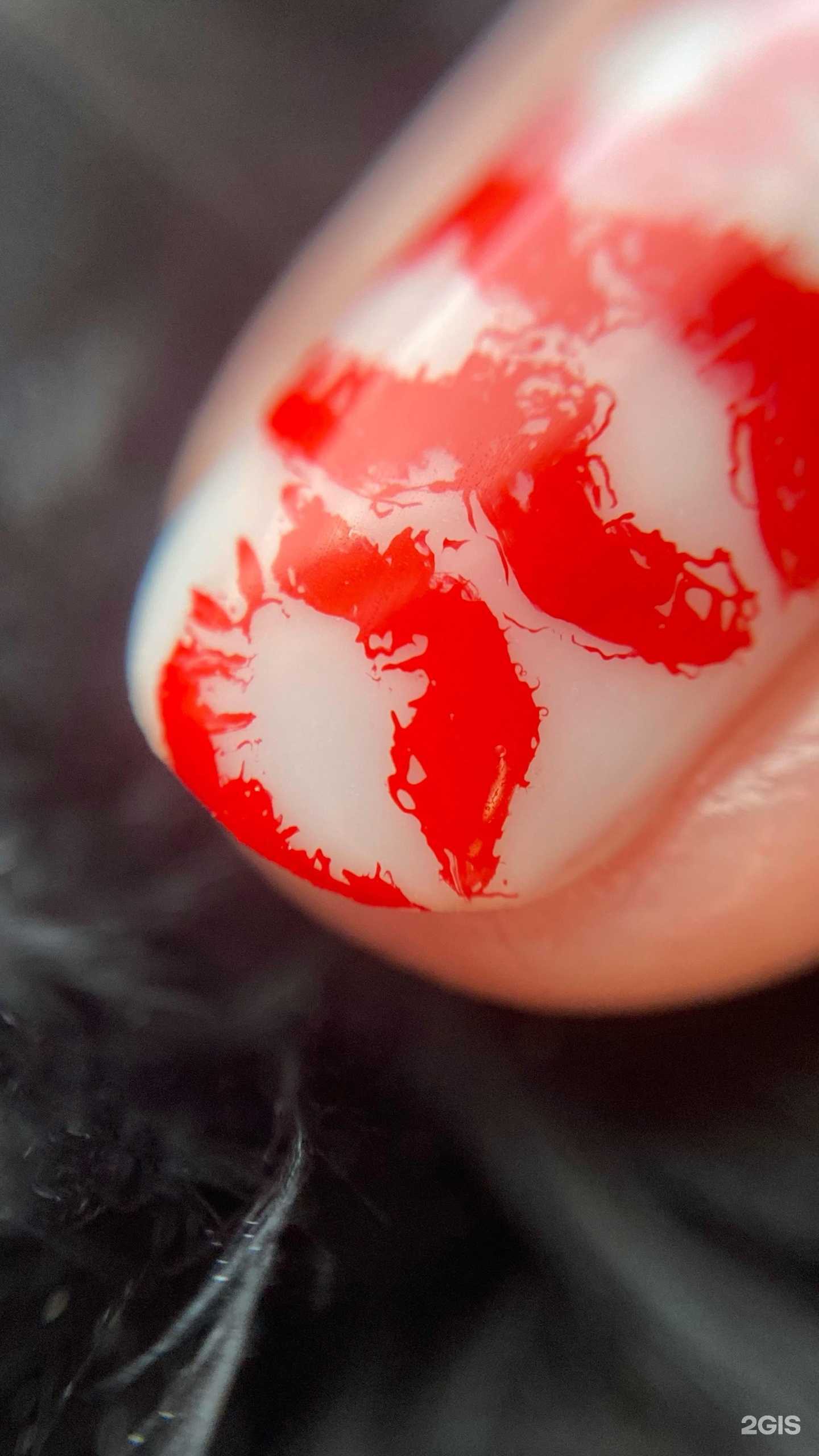 Отзывы на компанию Cardi Space в Воронеже c фото