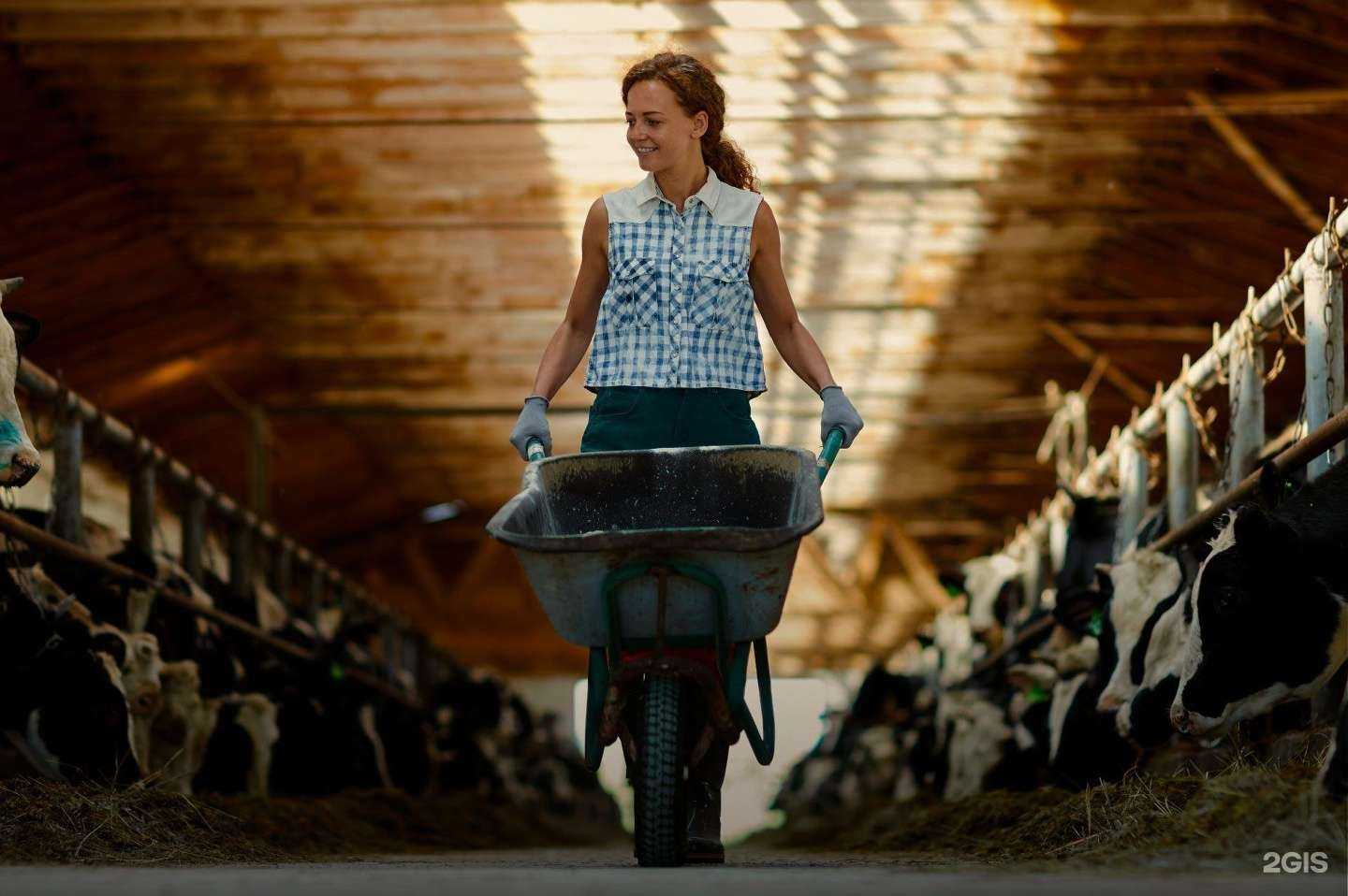 Отзывы на компанию Biocraft в Екатеринбурге c фото