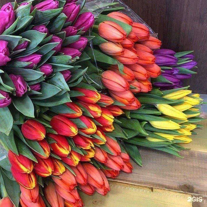 Отзывы на компанию Сокол в г. Пенза c фото