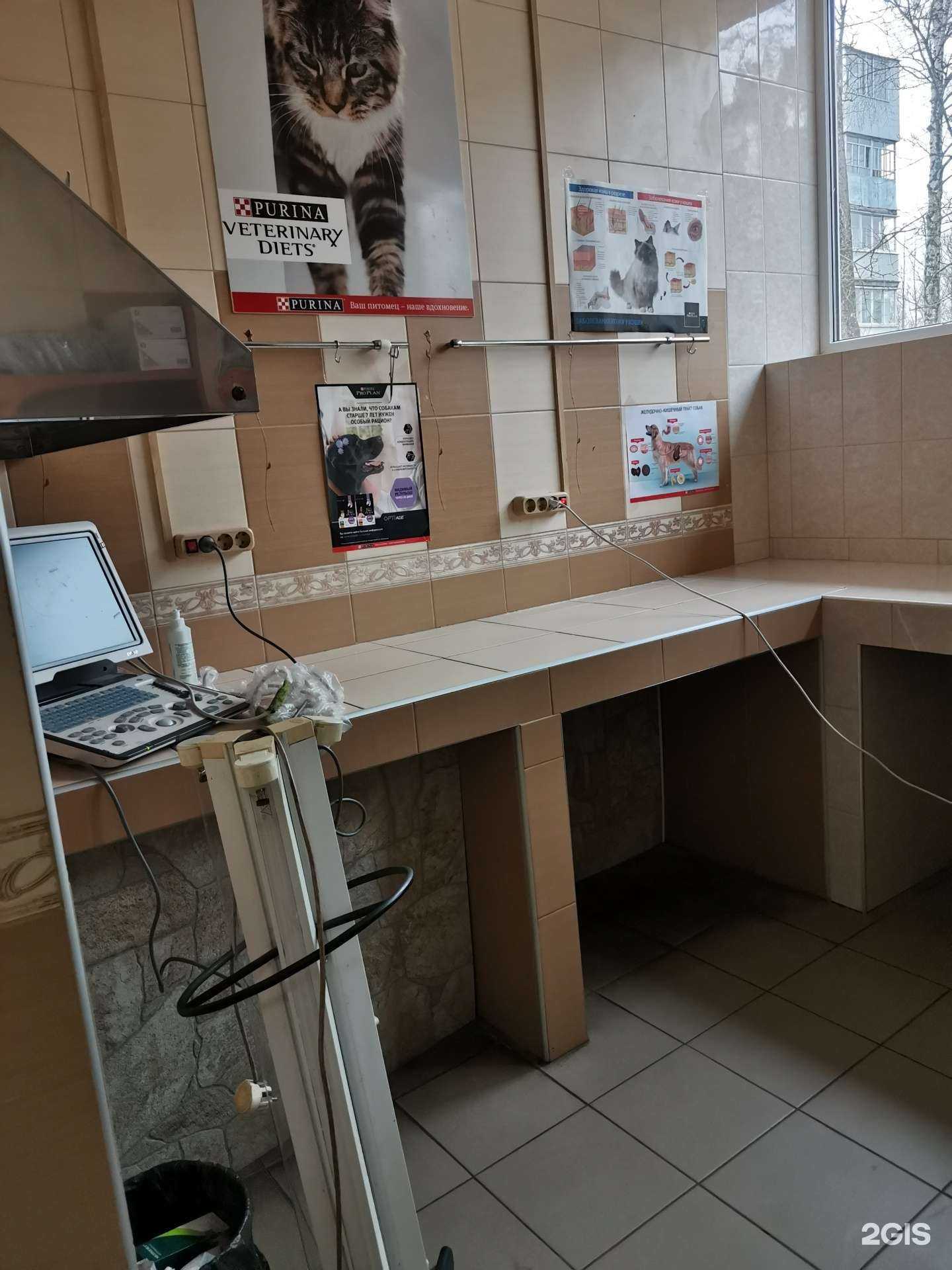 Отзывы на компанию Айболит в г. Смоленск c фото