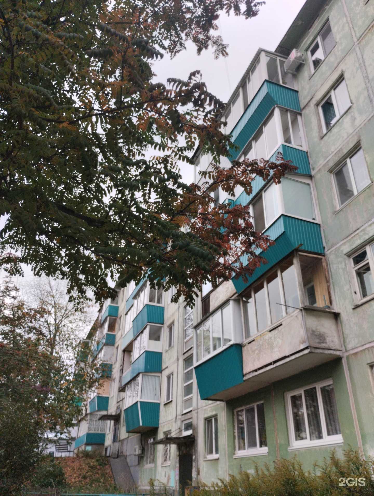 Отзывы на компанию Lingua Master в Сарапуле c фото - фотография 2 из 2