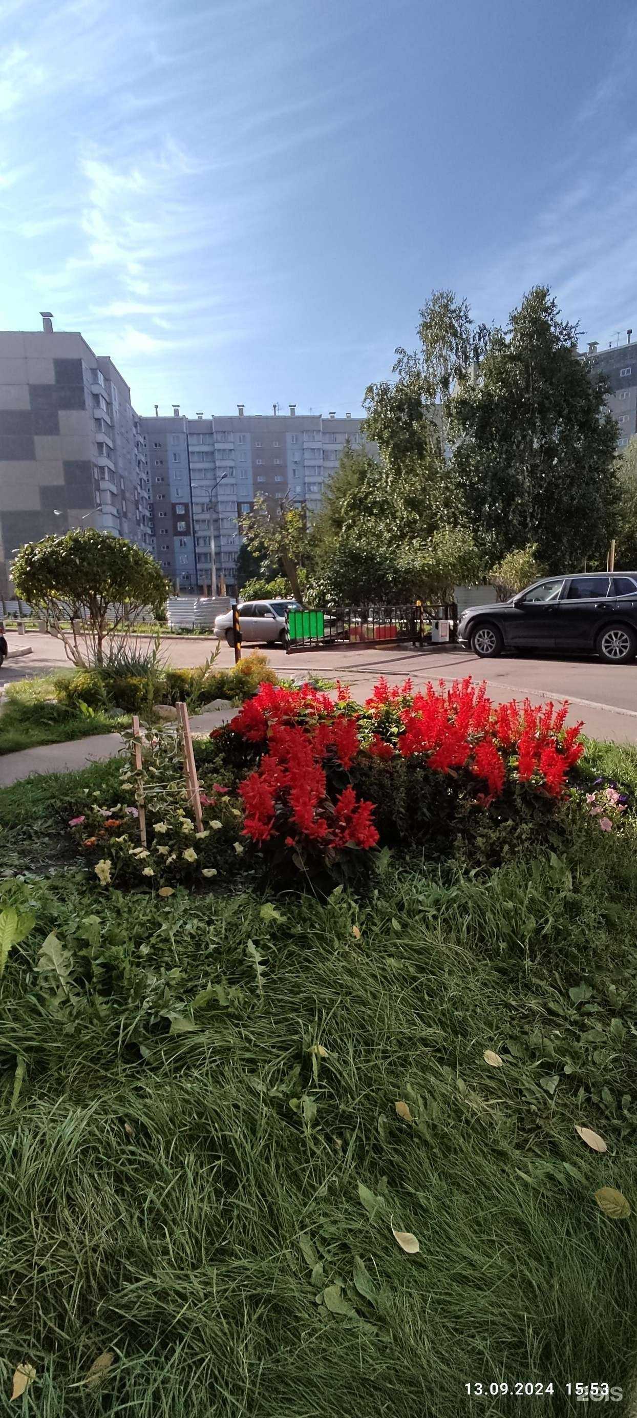 Отзывы на компанию Viki в Красноярске c фото - фотография 2 из 2