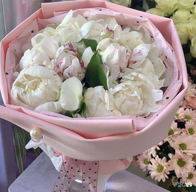 Отзывы на компанию Provence в Анапе c фото