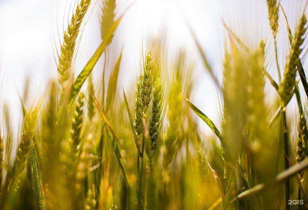 Отзывы на компанию Партнер-Агросервис в г. Барнаул c фото