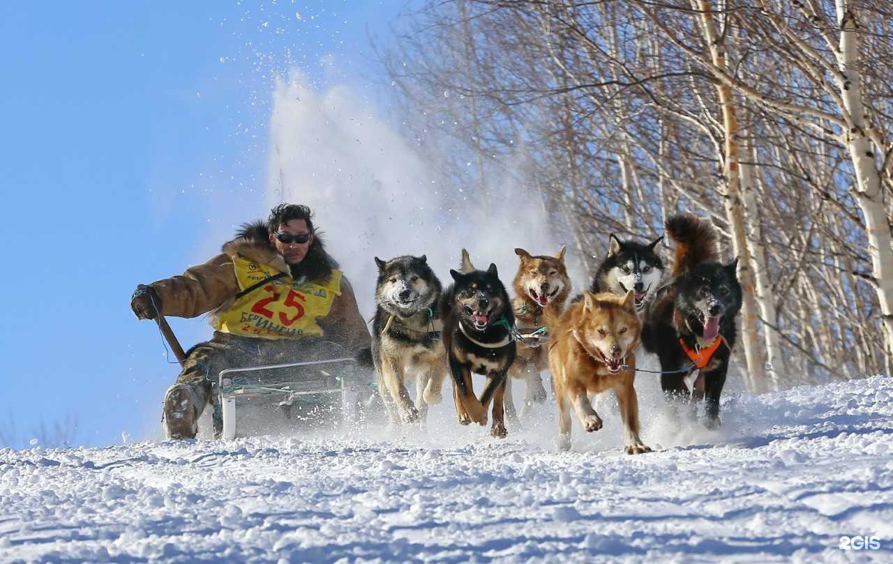 Отзывы на компанию Биатлонный комплекс им. В.Фатьянова в Петропавловске-Камчатском c фото - фотография 2 из 2