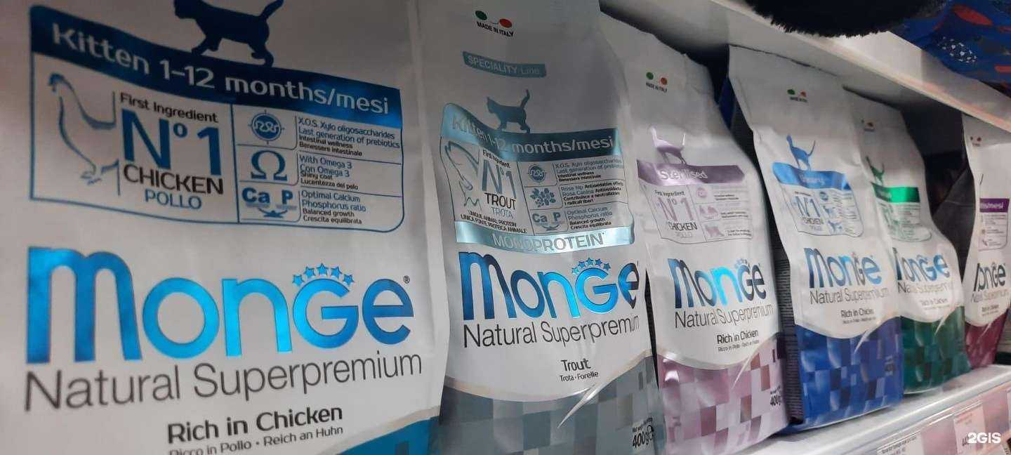 Отзывы на компанию Др.Холли в Белгороде c фото