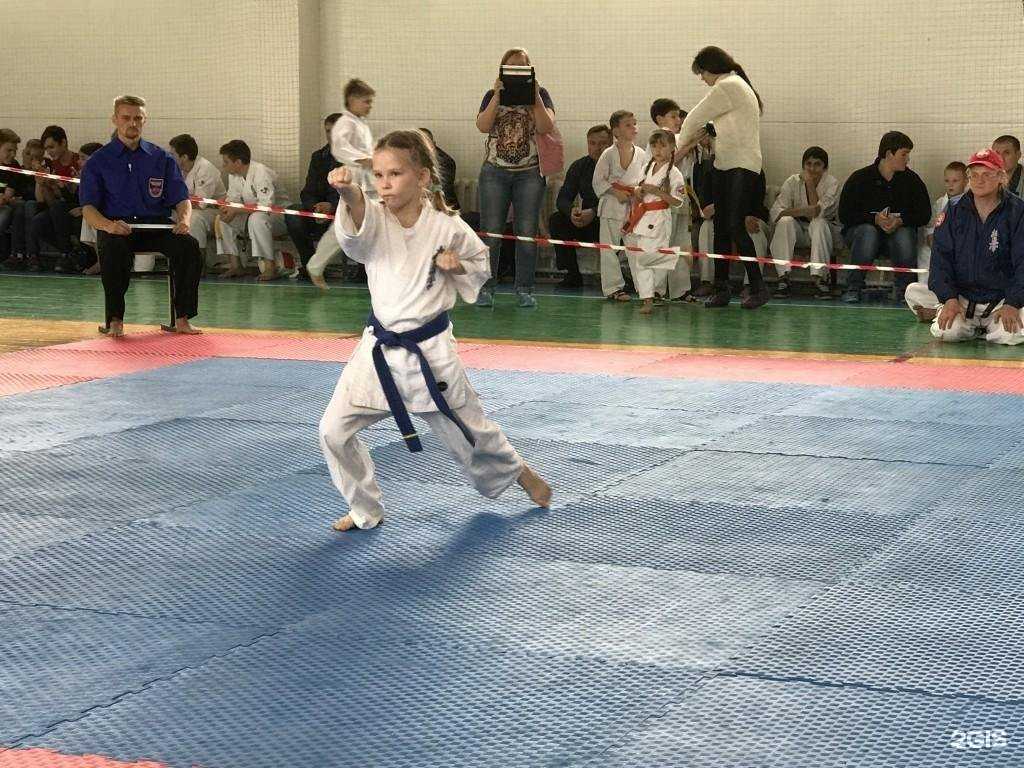 Отзывы на компанию Спортивная школа №11 в Ростове-на-Дону c фото