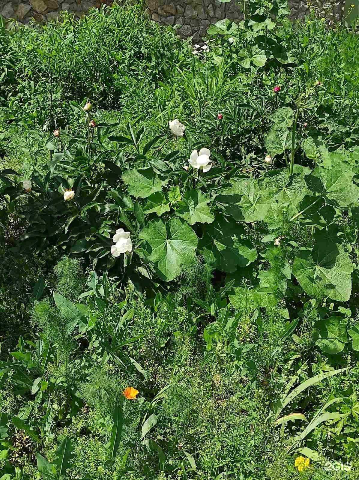 Отзывы на компанию Детский сад №31 в г. Магнитогорск c фото