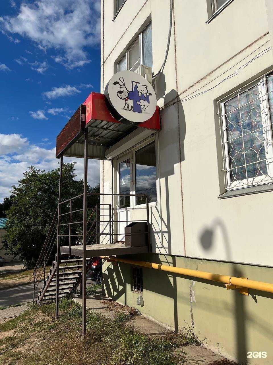 Отзывы на компанию Гав мяу в г. Воронеж c фото