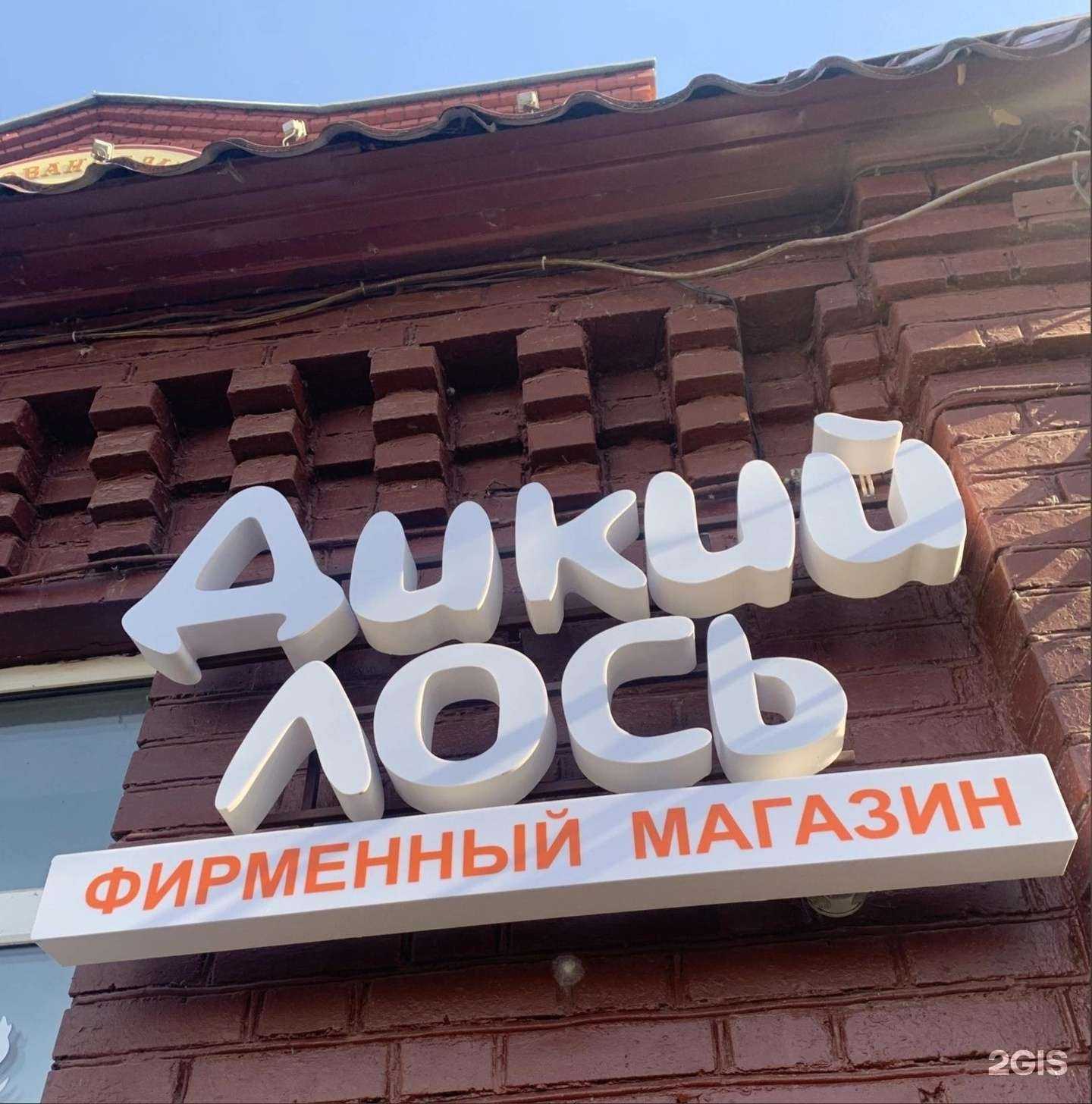 Отзывы на компанию Дикий лось в г. Чебоксары c фото