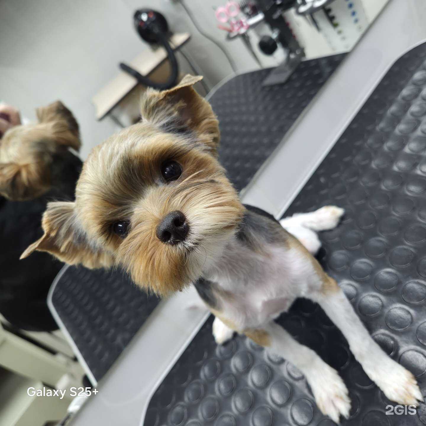 Отзывы на компанию ГлаМуррр в г. Кемерово c фото