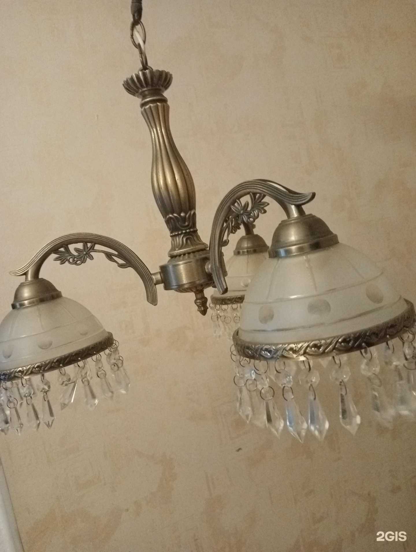 Отзывы на компанию Галлоп в Новосибирске c фото