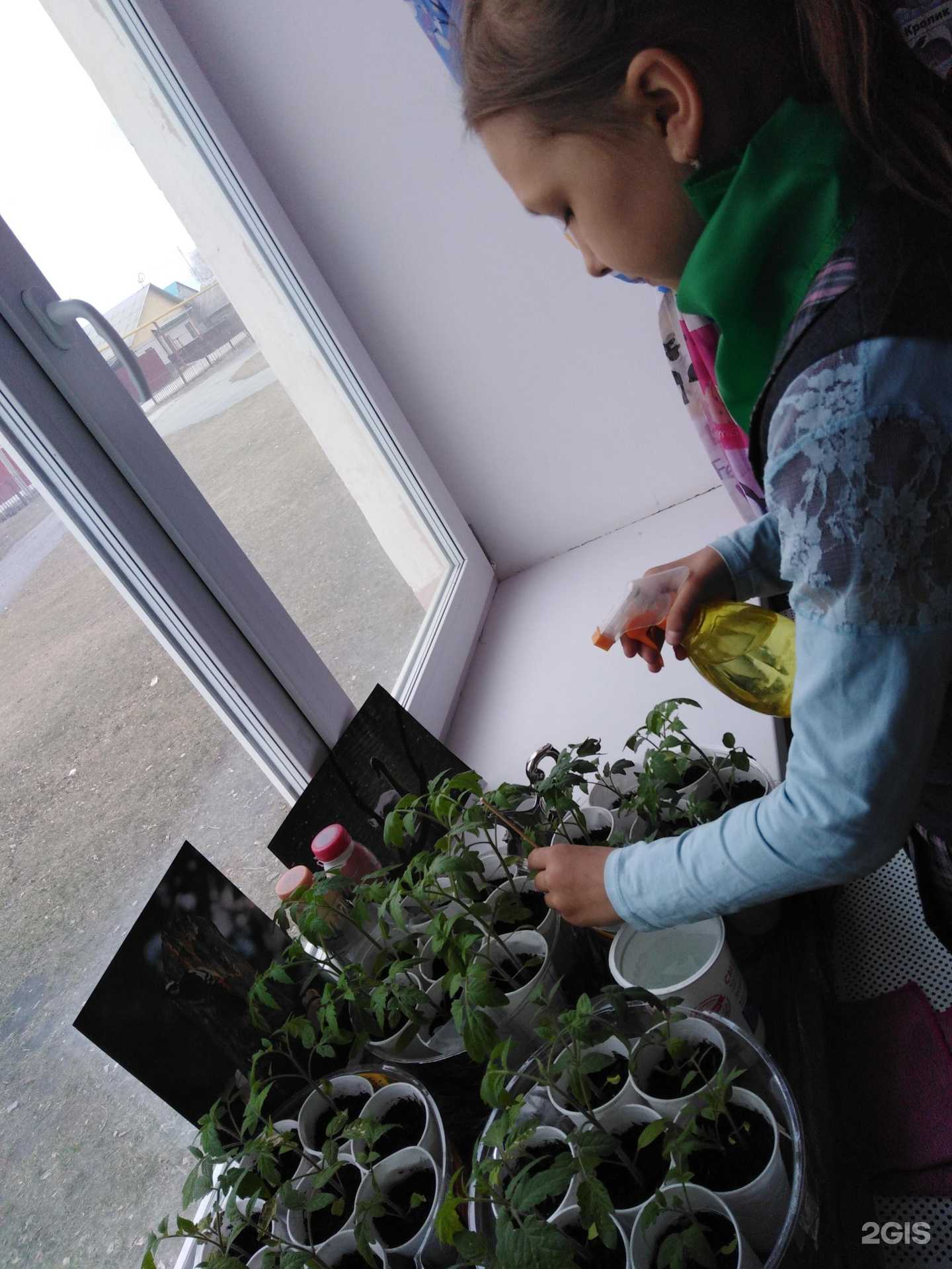 Отзывы на компанию Основная школа №9 в Чебаркуле c фото