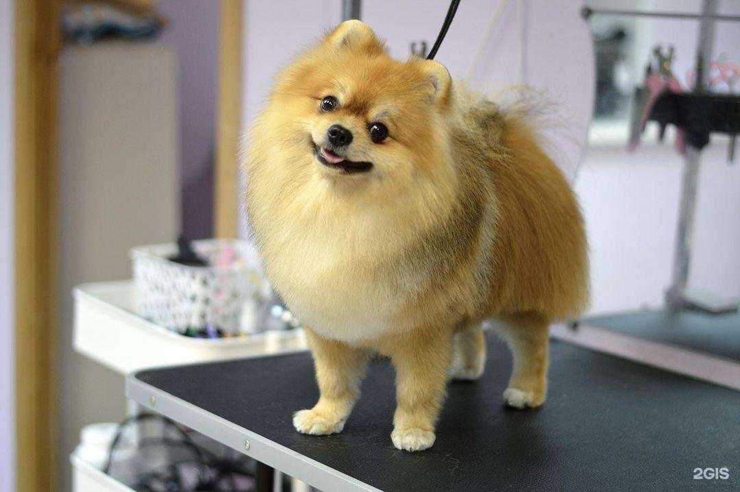 Отзывы на компанию Мальта в Череповце c фото