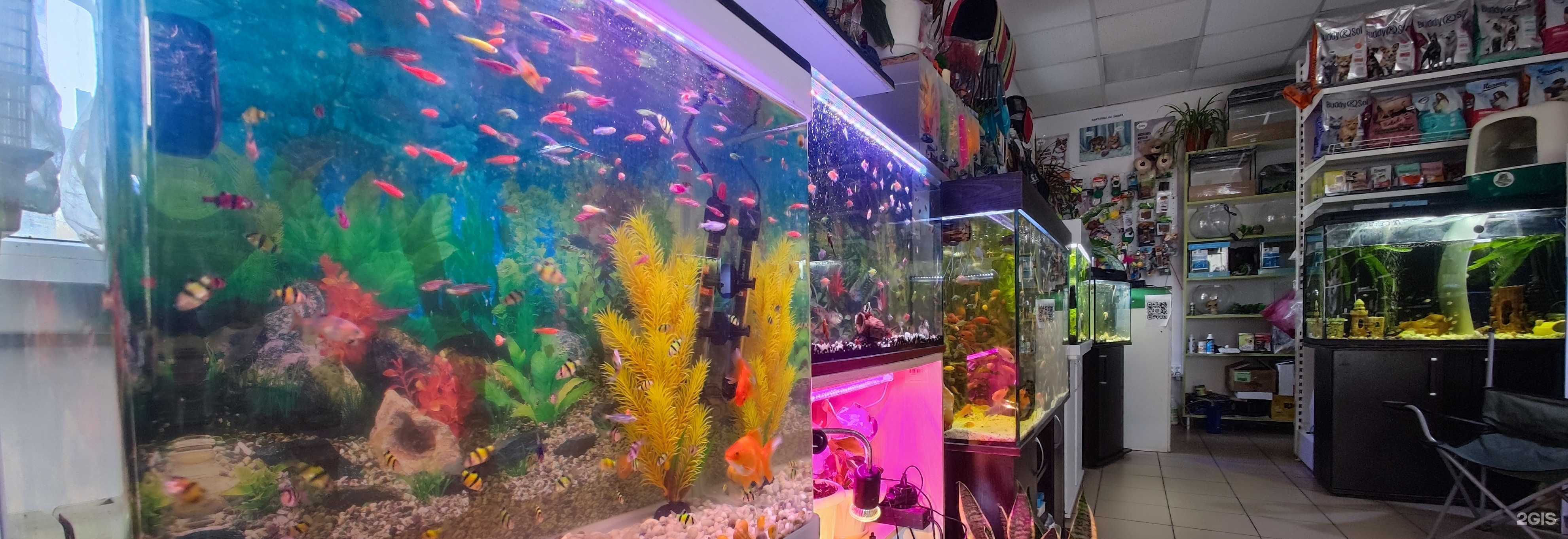 Отзывы на компанию Сёма в г. Батайск c фото